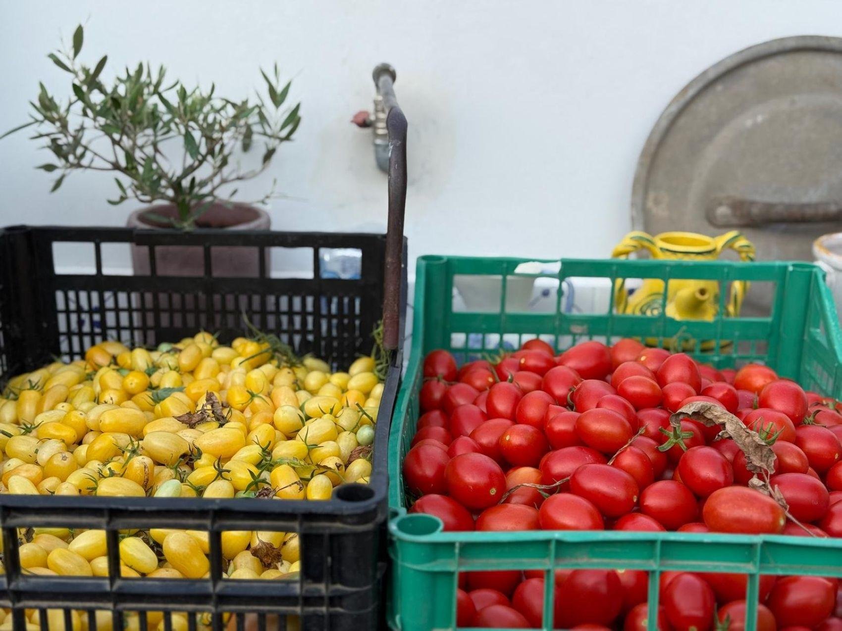 Capri Cooking Class at Villa Pasquale with Resident Chef