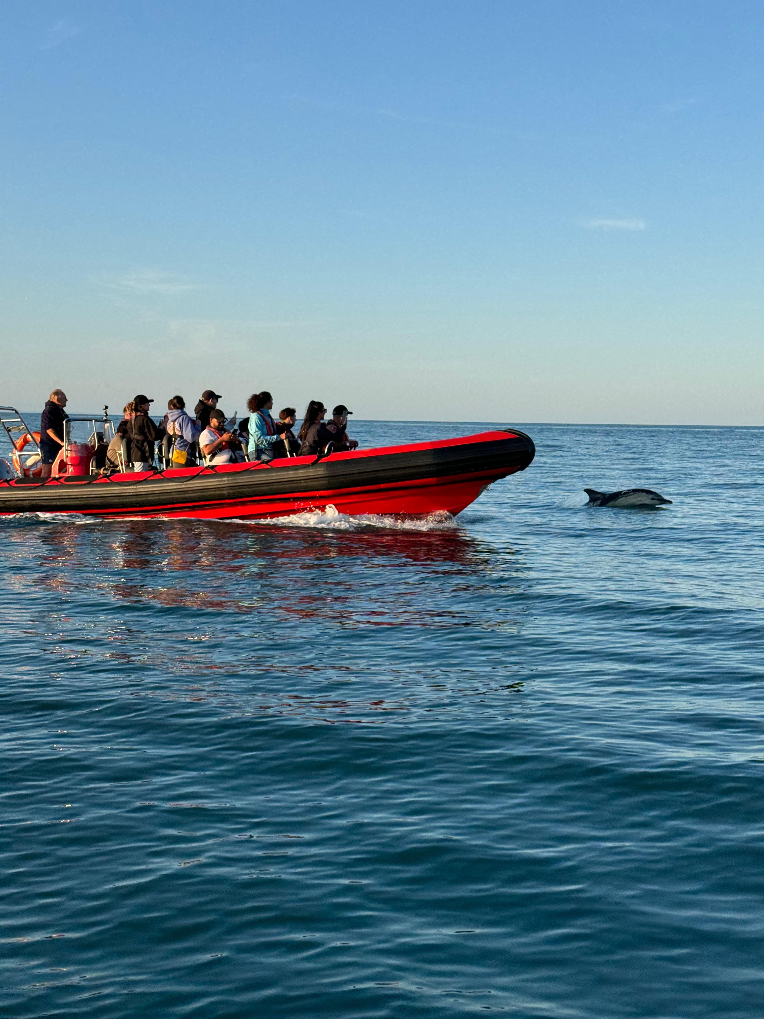 Torquay Coastal Explorer Boat Trip
