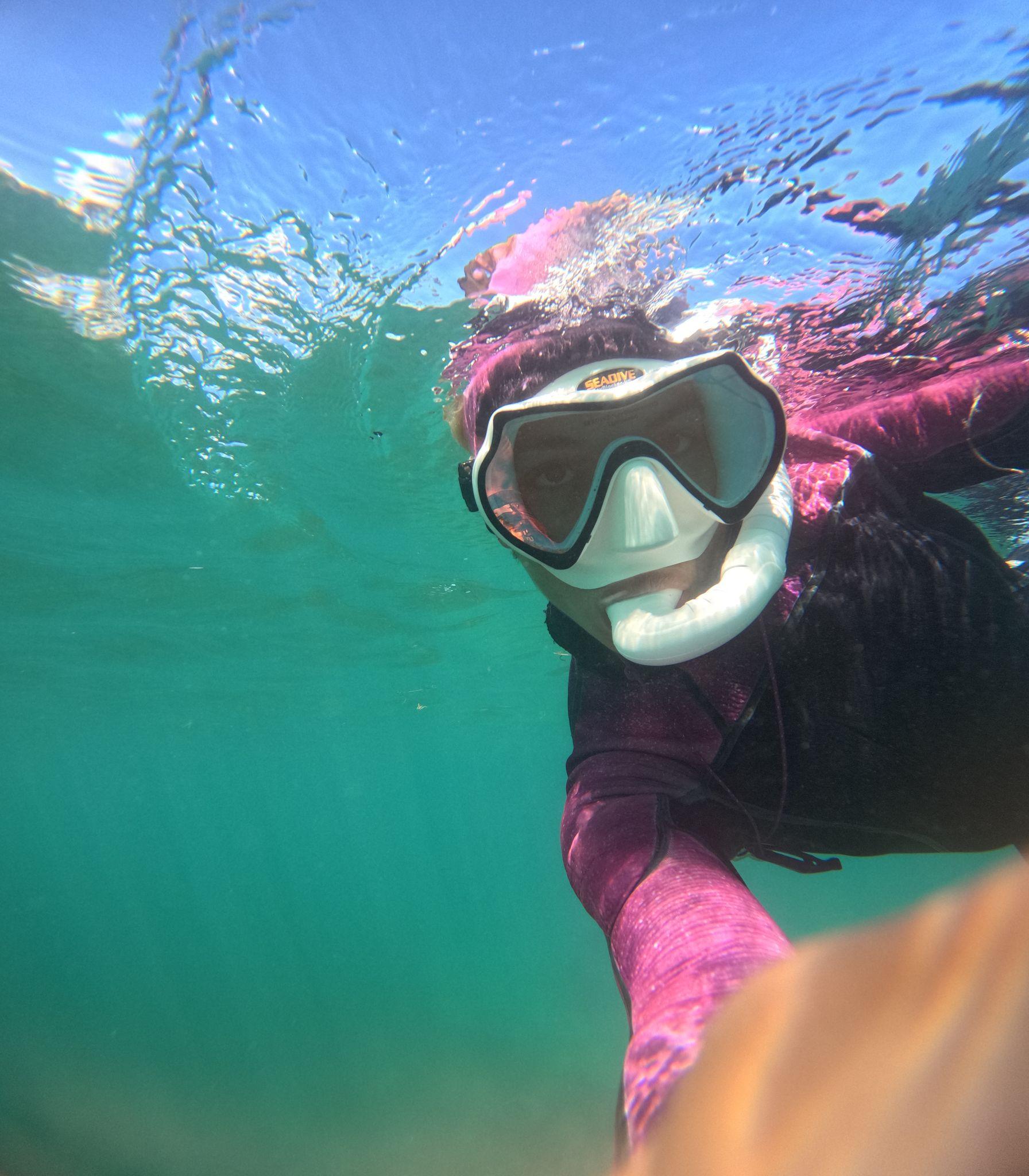 San Juan Shore Snorkeling with Turtles & Free Videos