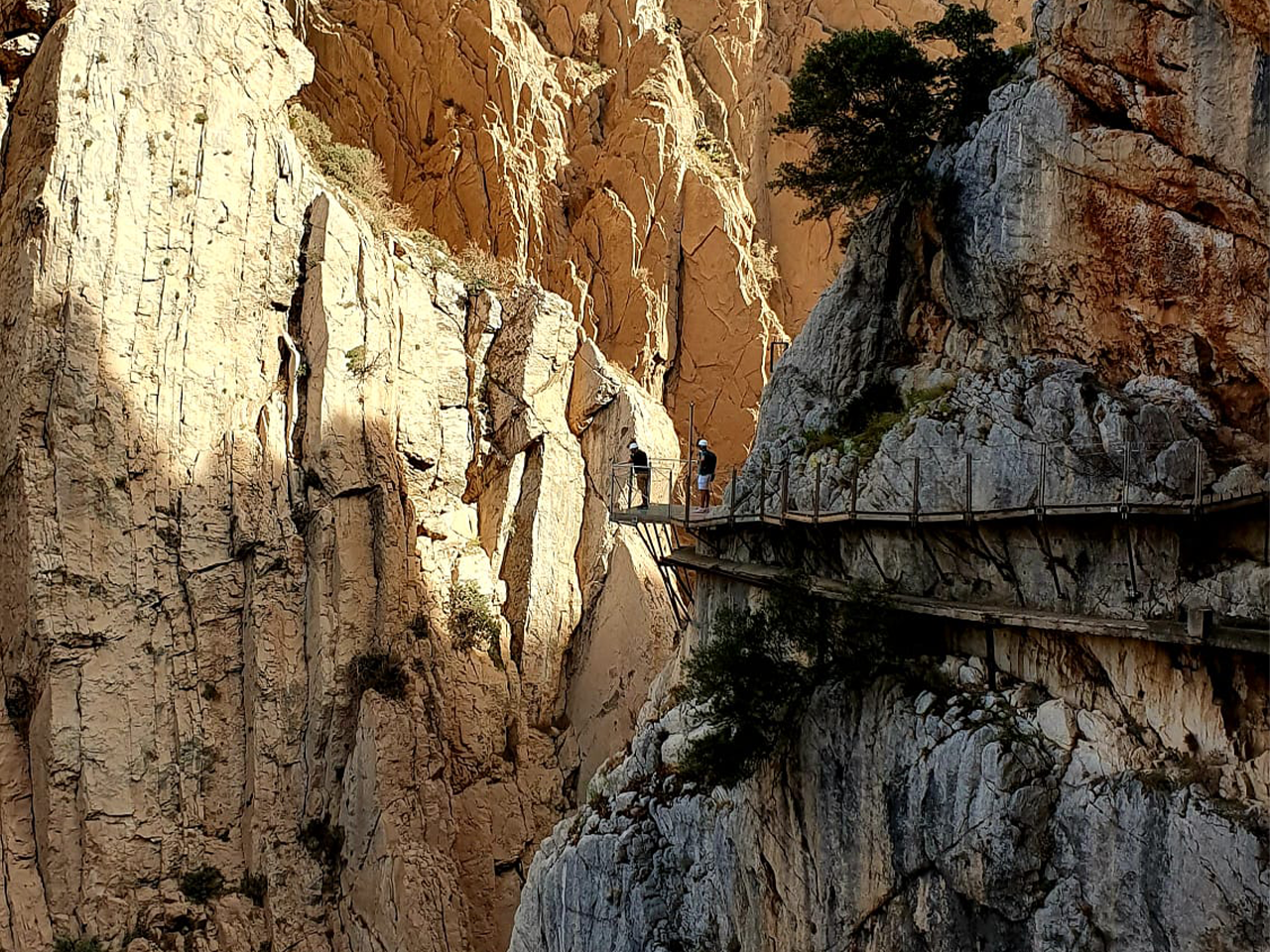 Caminito del Rey guided tour from Málaga — cliffside walkway above the Gaitanes Gorge, Andalusia — image 19