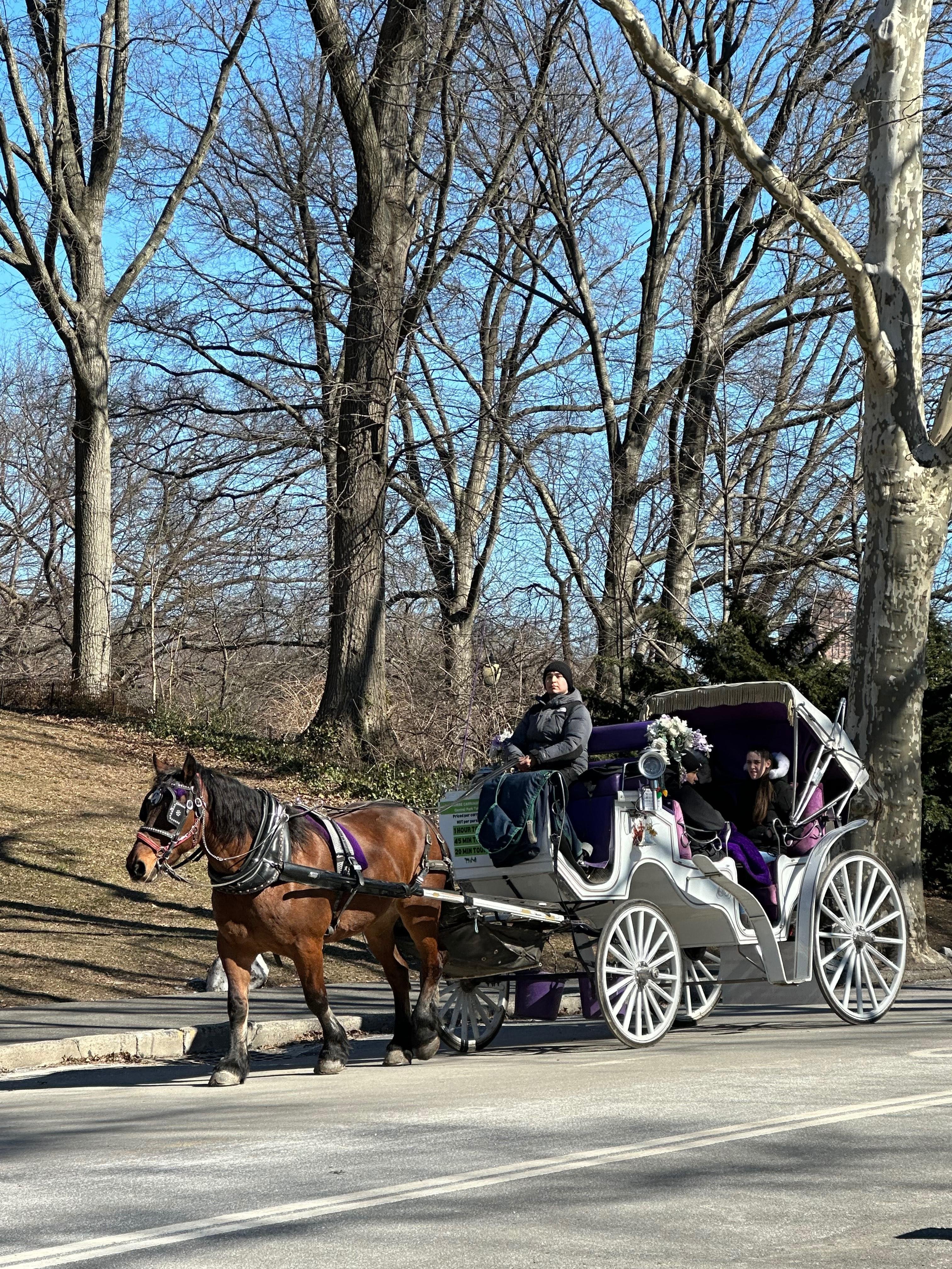 Private Horse Carriage Tour of Central Park