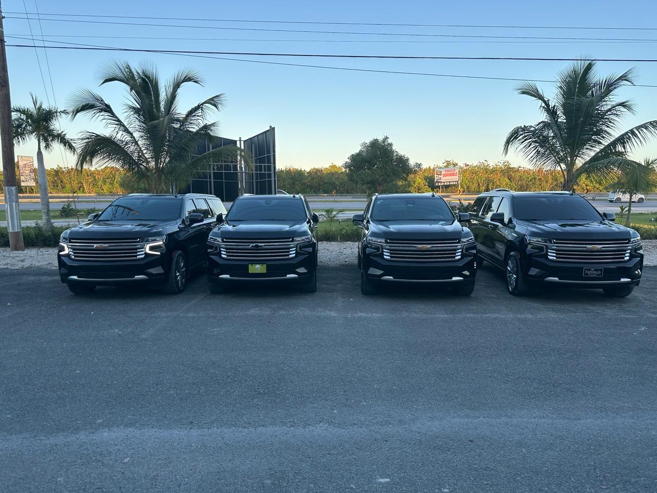 Punta Cana: Private VIP Airport Transfer
