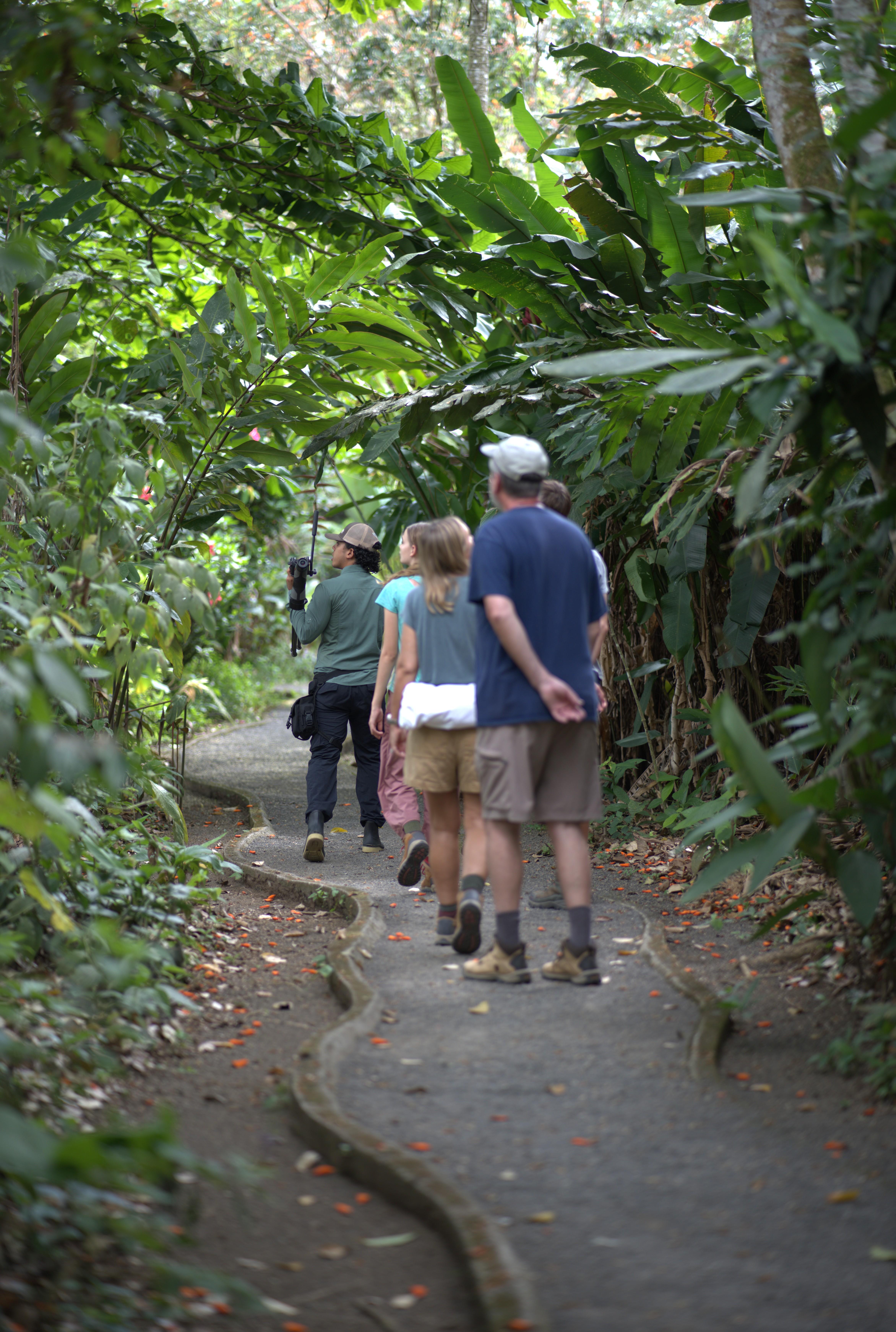 La Fortuna Sloth & Wildlife Nature Walk