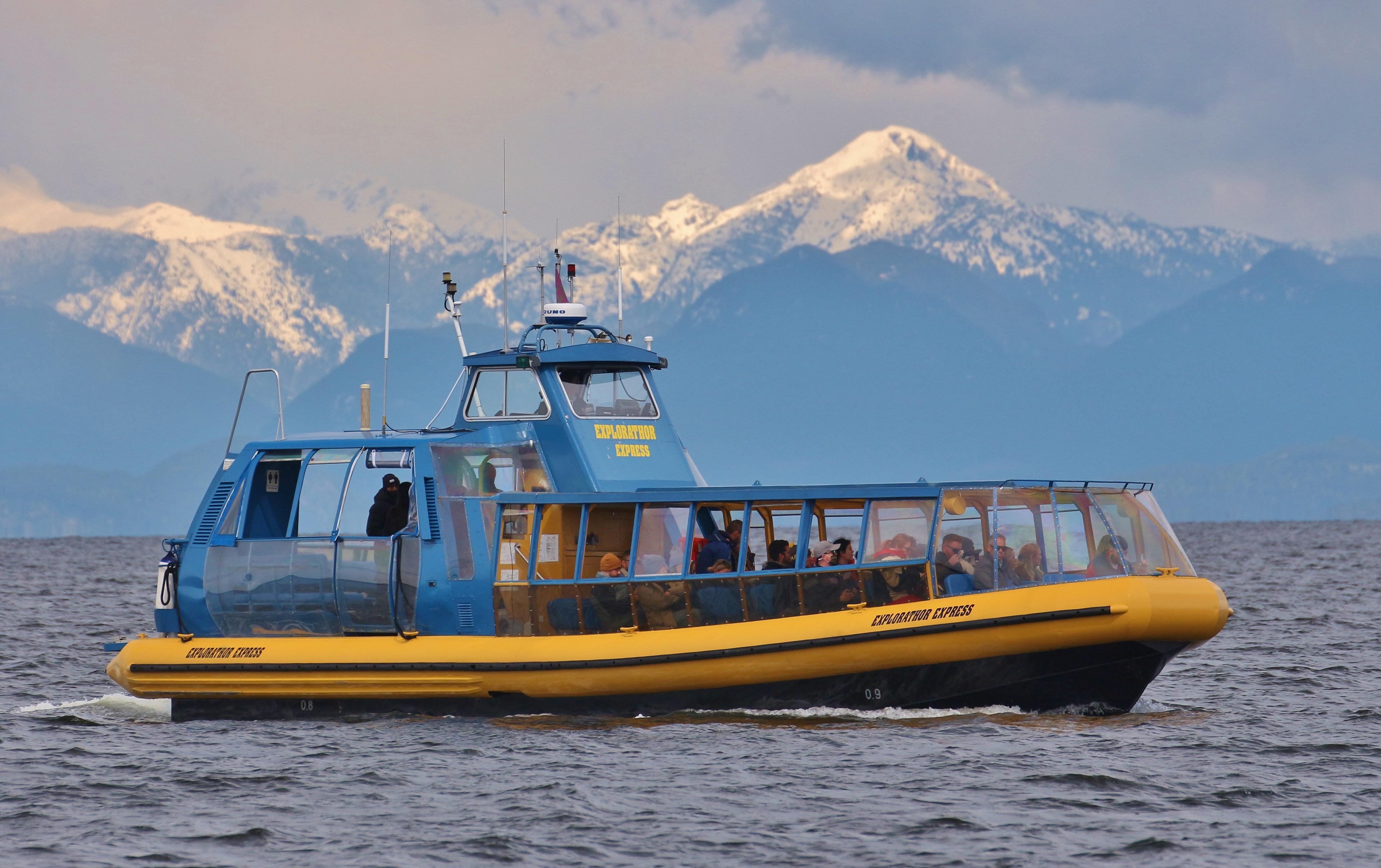 Vancouver Whale Watch Large Zodiac tour with Guide