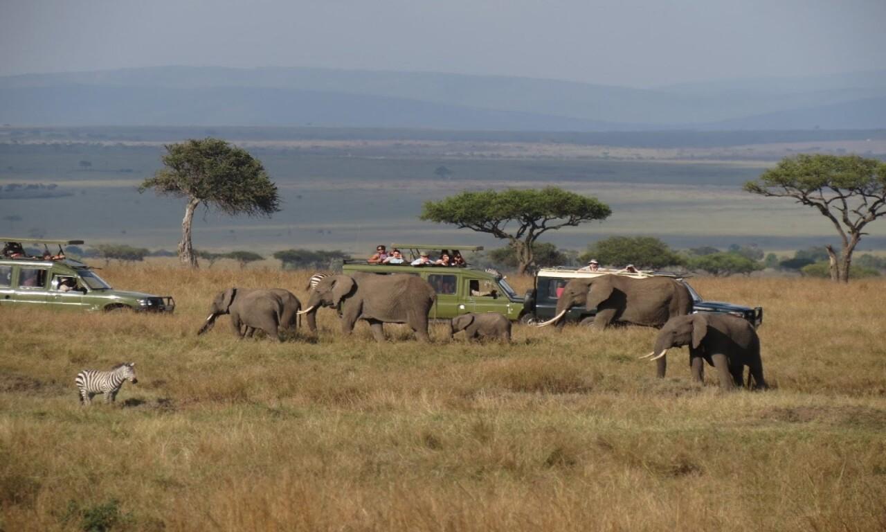 3-Day Masai Mara Safari: Luxury Sopa Lodge Experience