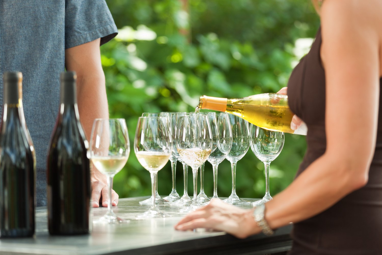 Napa Valley wine tour for couples — vineyards and tasting rooms — image 5