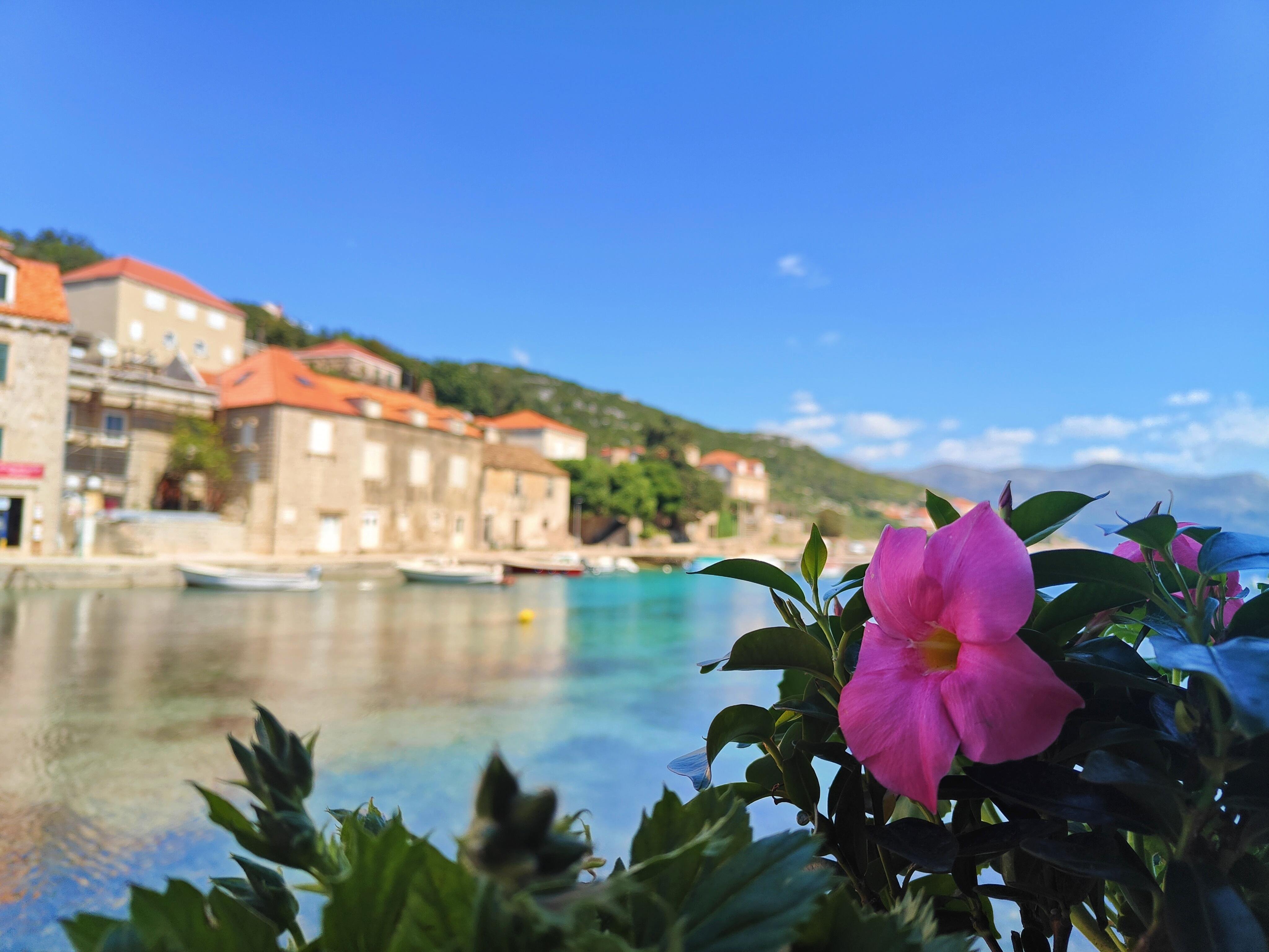 Full-Day Blue Cave & Elaphiti Islands Cruise from Dubrovnik