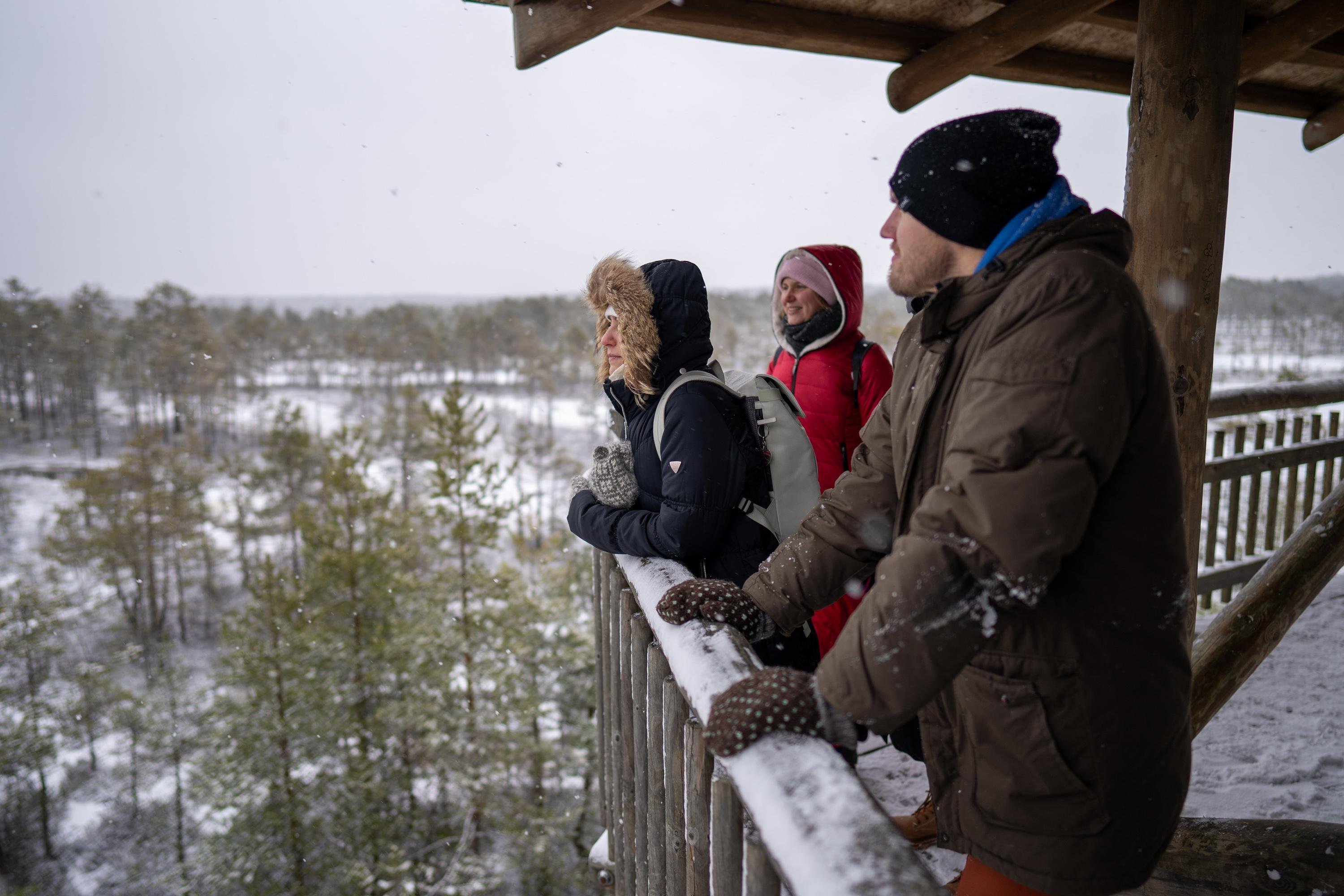 Lahemaa National Park full-day tour from Tallinn — image 3