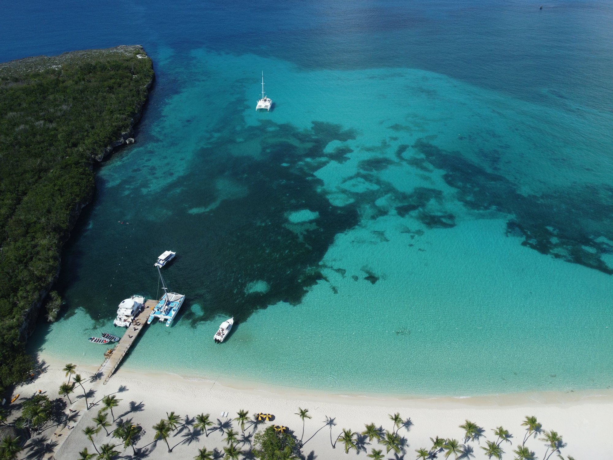Catalina Island Catamaran Snorkel & River Cruise