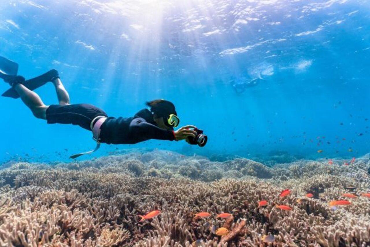 Blue Cave Freediving Experience with Underwater Photos