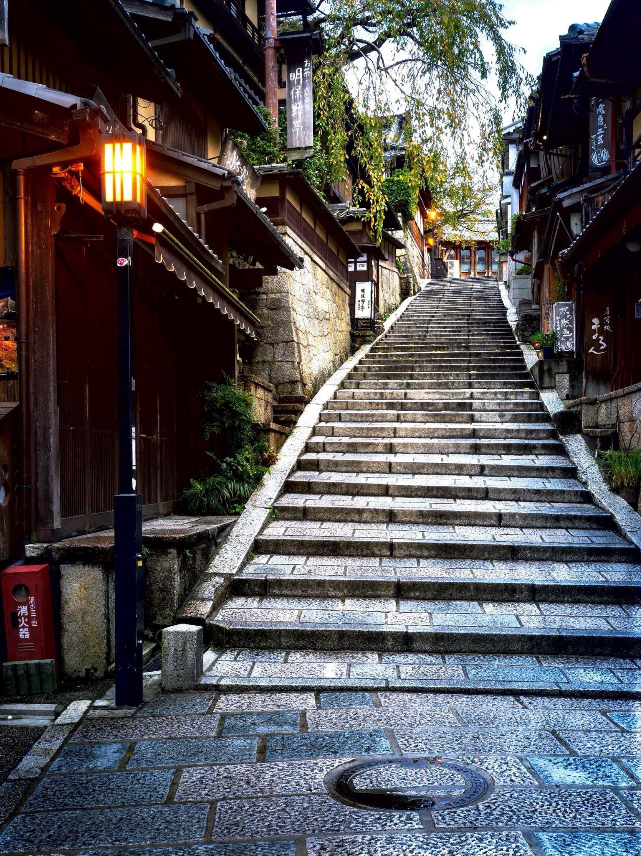 Private Kyoto & Nara Custom Day Tour with Hotel Pickup