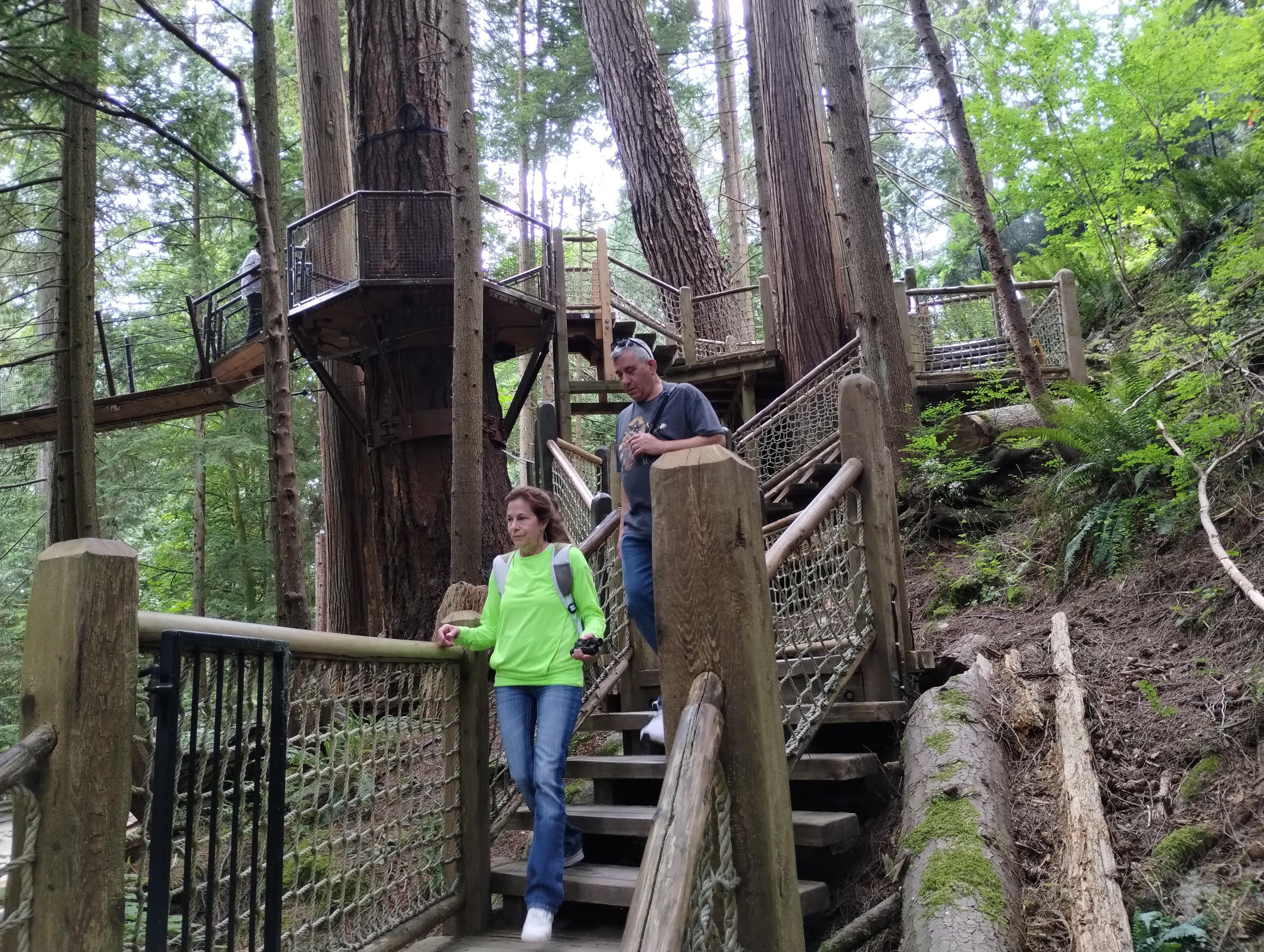 Capilano Suspension Bridge & Stanley Park Small Group Tour
