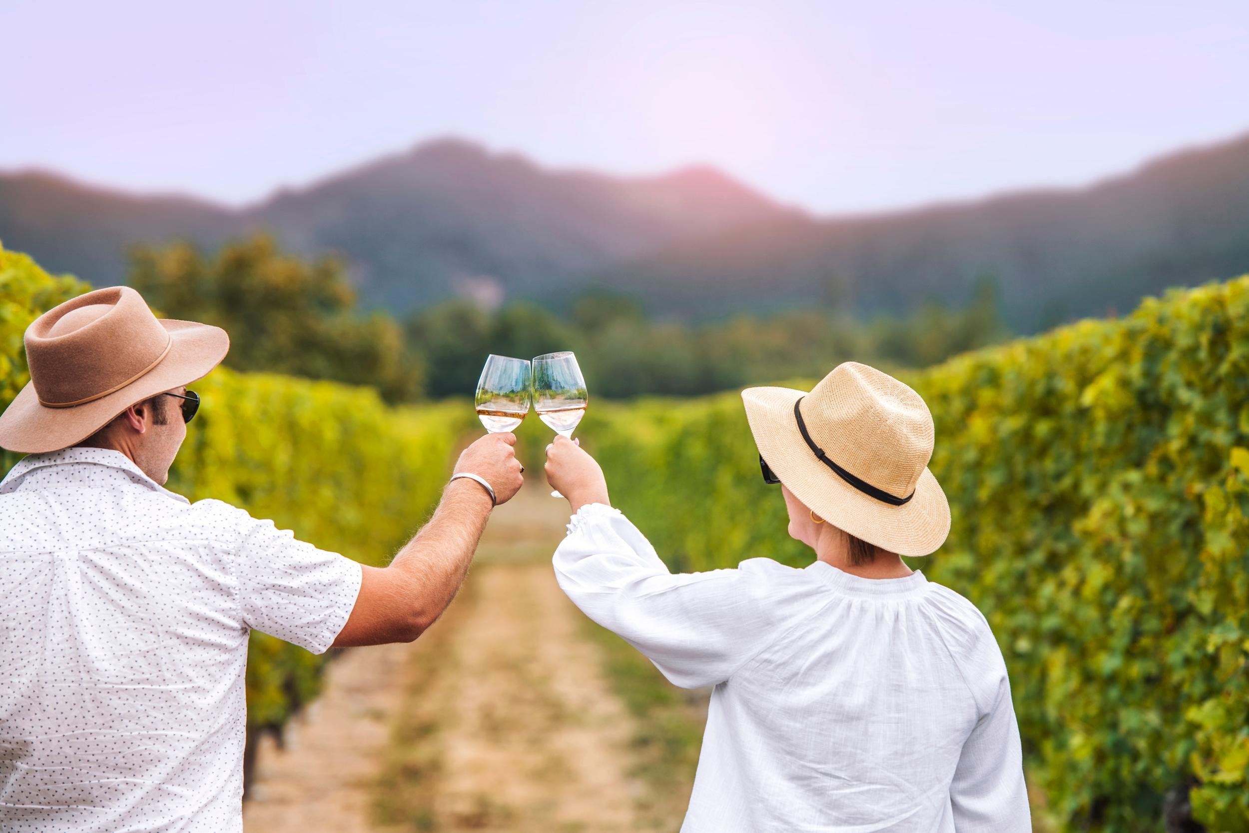 Marlborough Wine Region Small-Group Tasting Tour