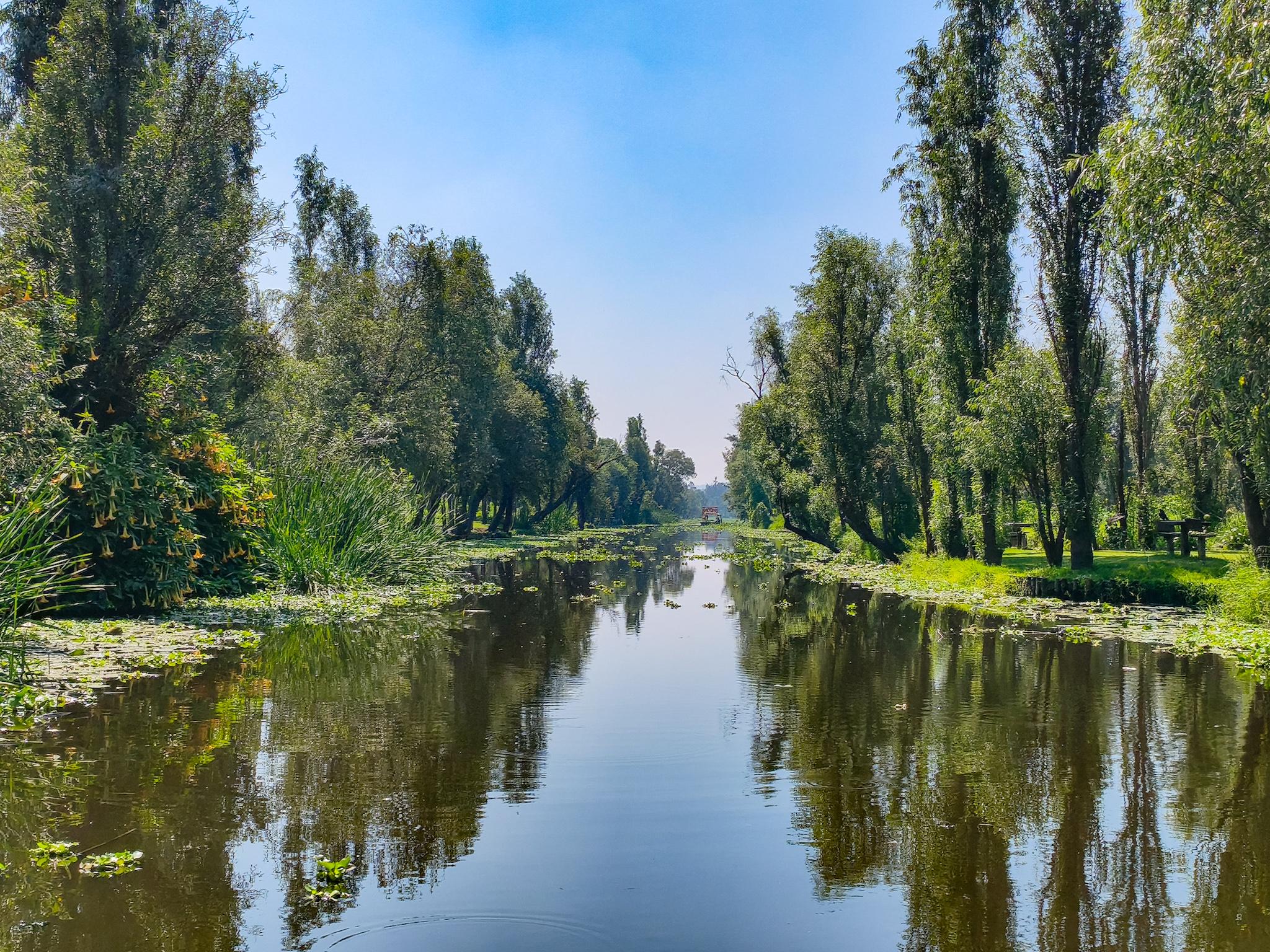Xochimilco Trajinera, Doll Island & Coyoacán Tour