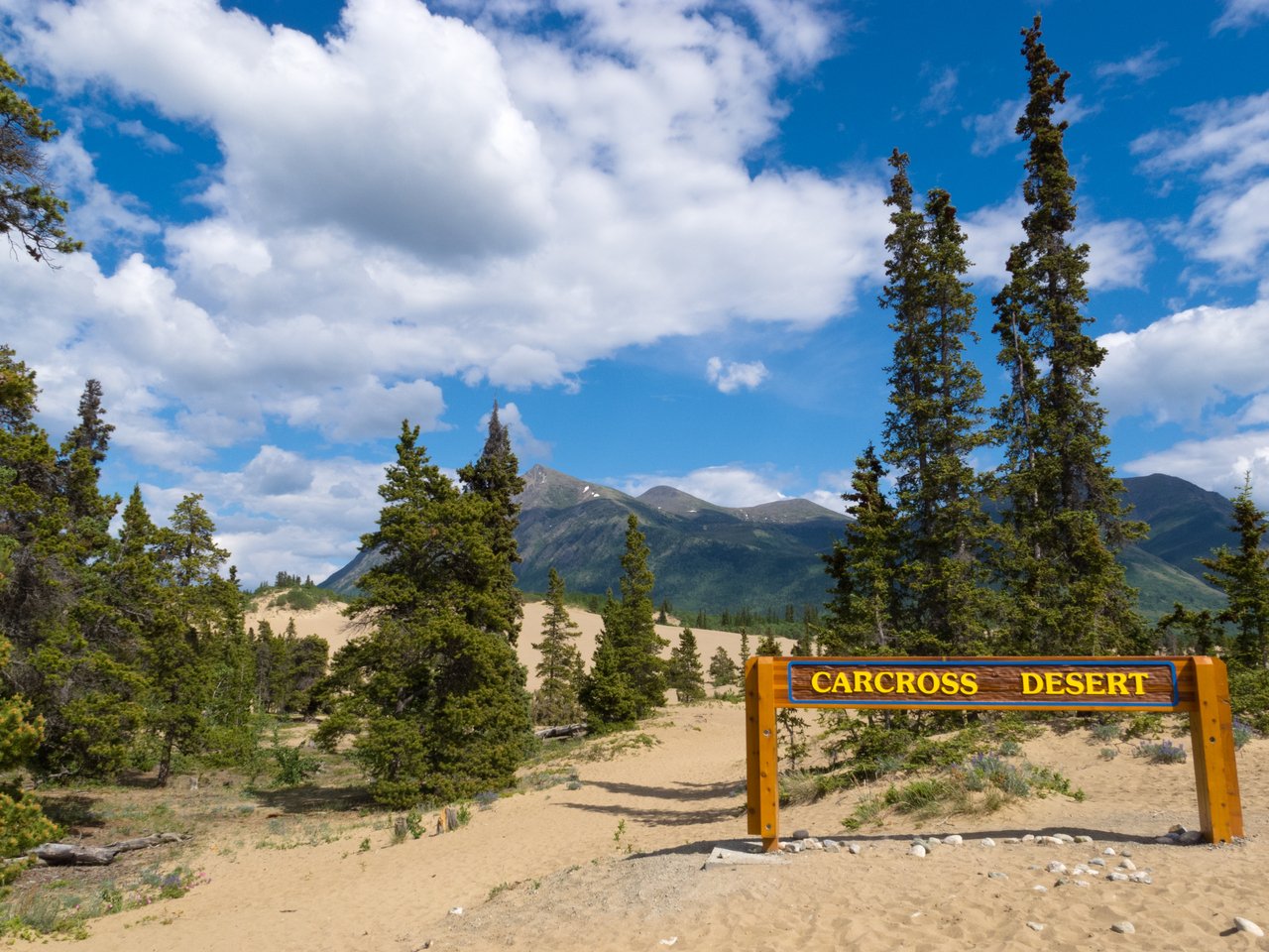 Private Yukon Wilderness & Lakes Adventure