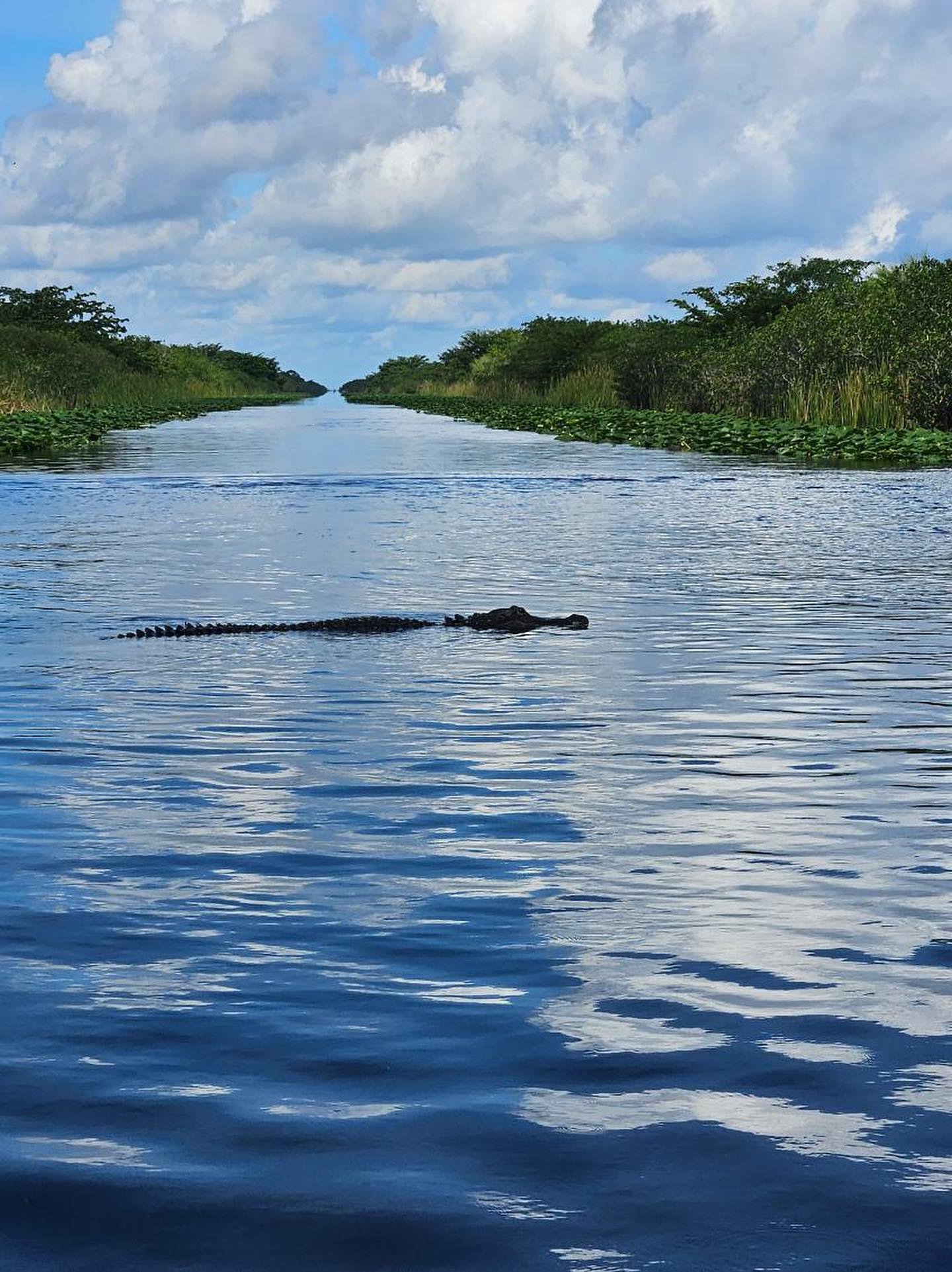 Everglades Small Group on Airboat with Transportation