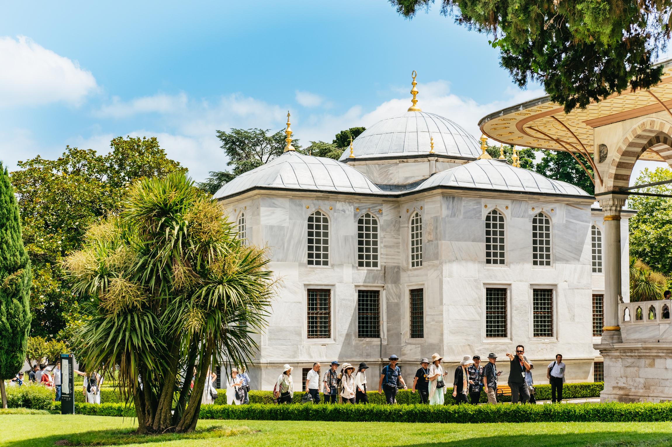 Istanbul: Guided Topkapi Palace & Harem Tour with Entry