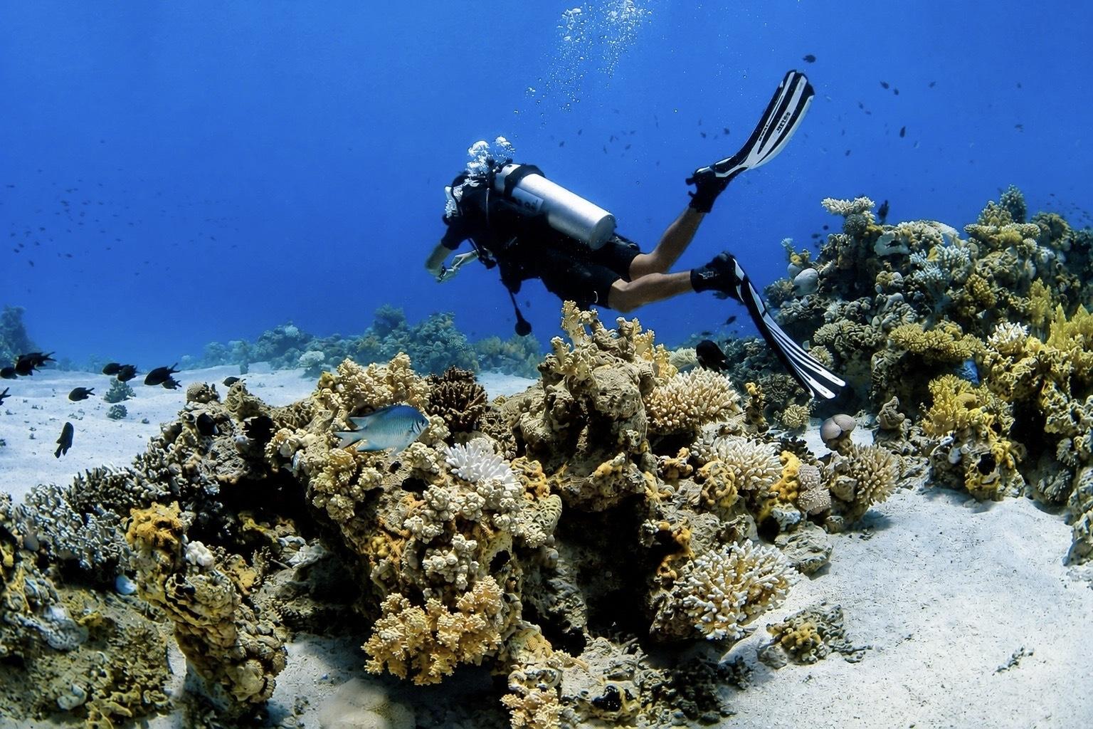 Tiran Island Diving & Snorkeling Adventure