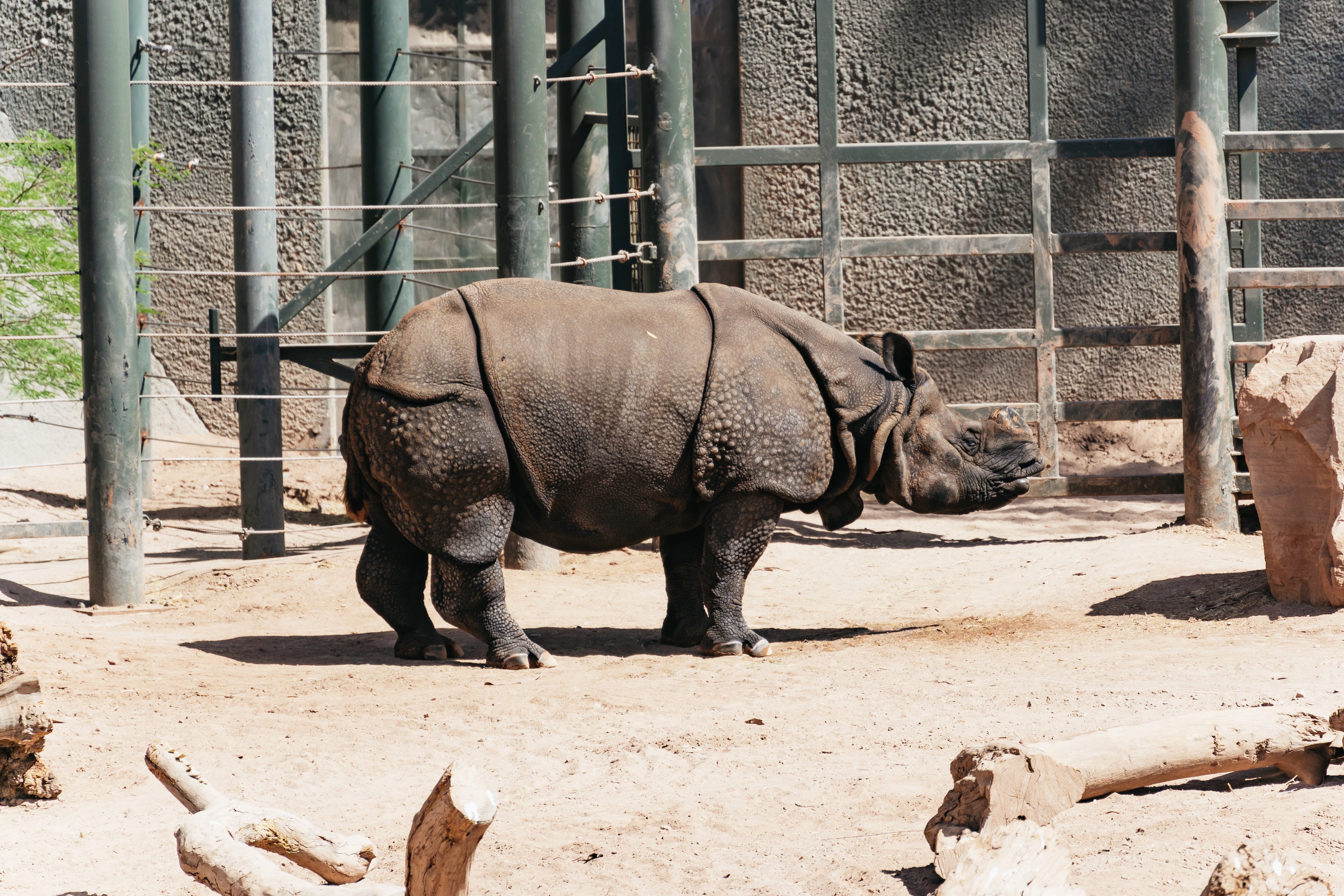 Phoenix Zoo: General Admission Ticket
