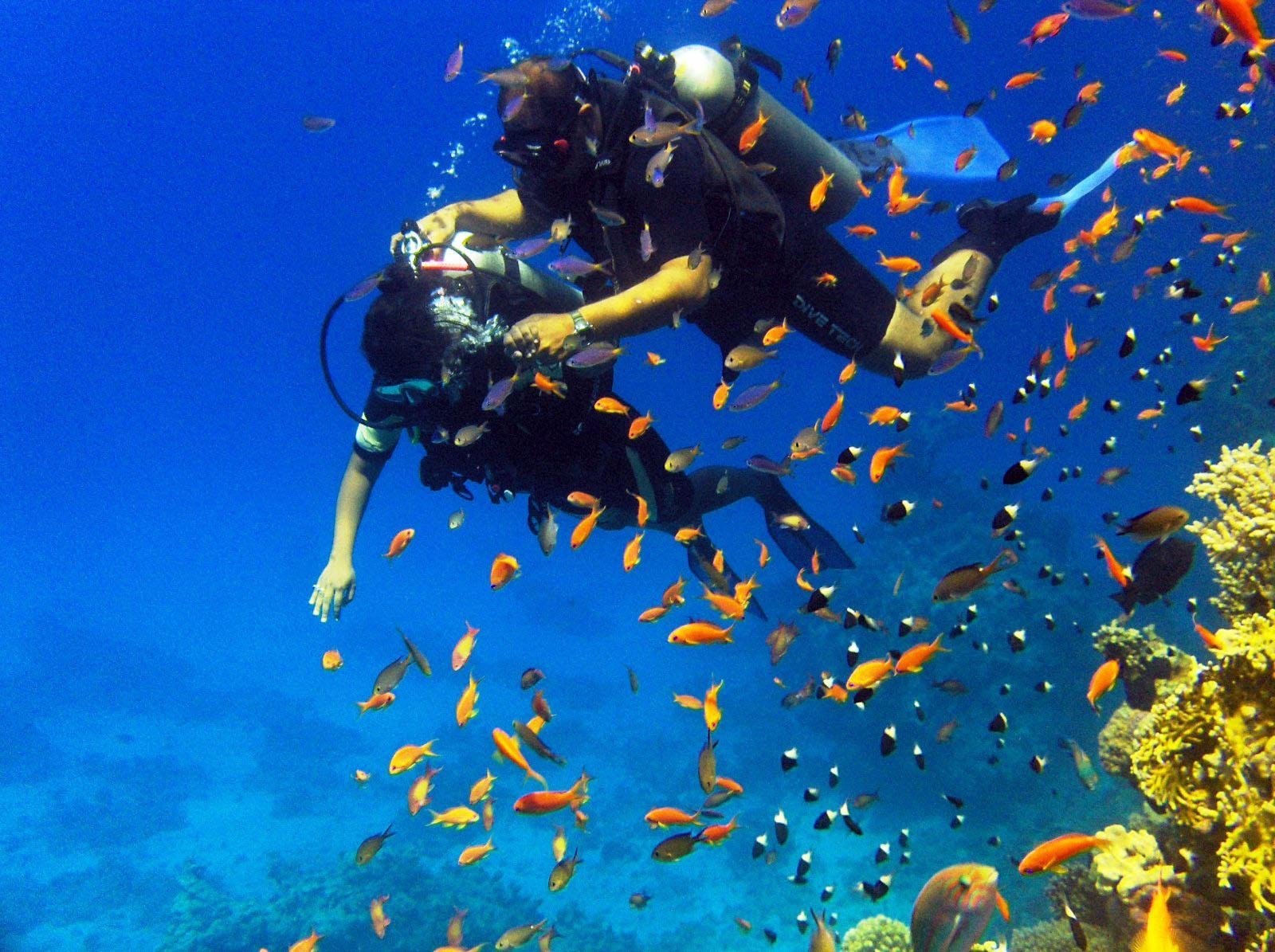 Sharm El Sheikh: Private Yacht Snorkeling & Diving Day Trip
