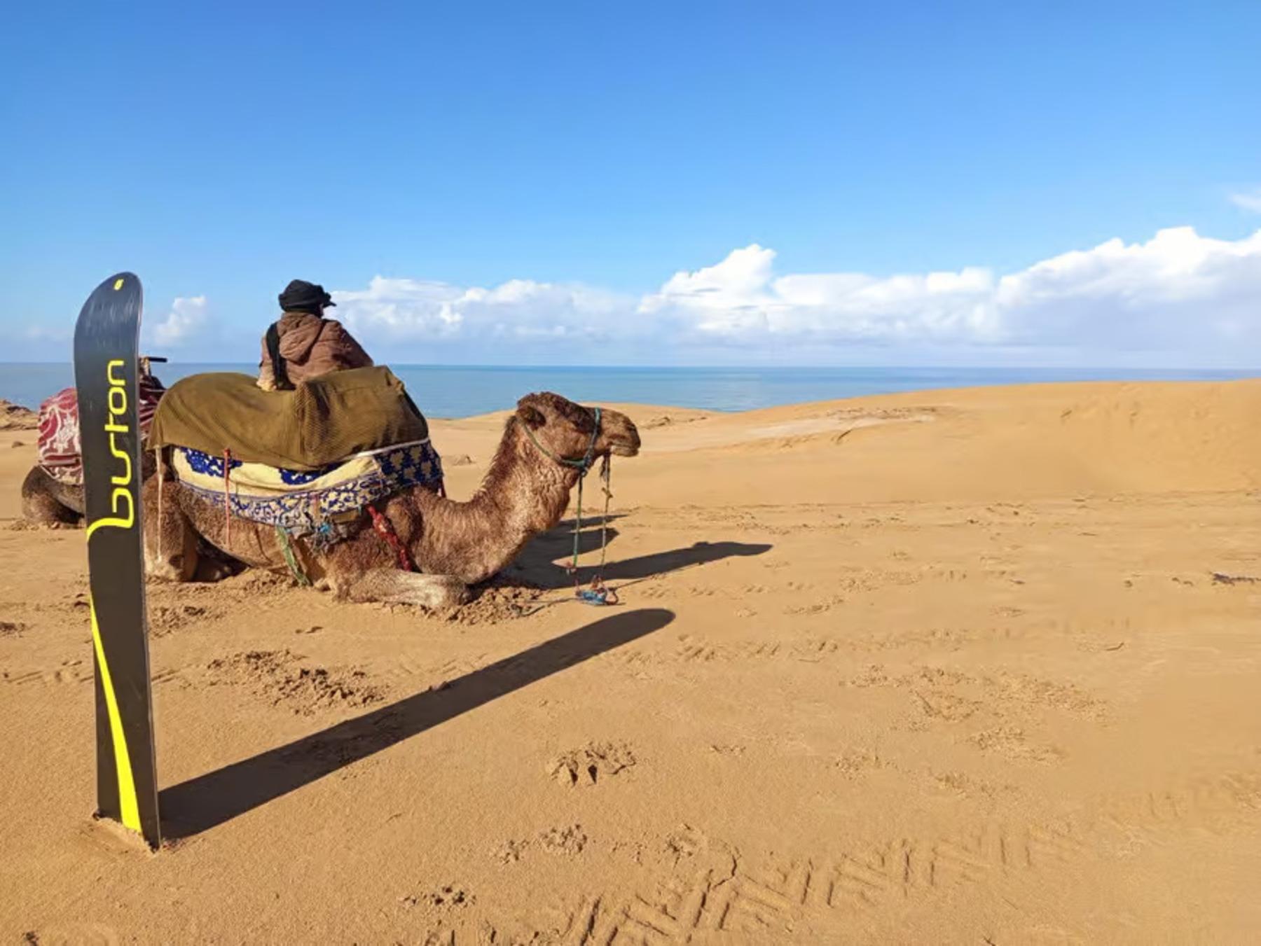 Agadir Desert & Dunes: Sandboarding and Canyon Expedition