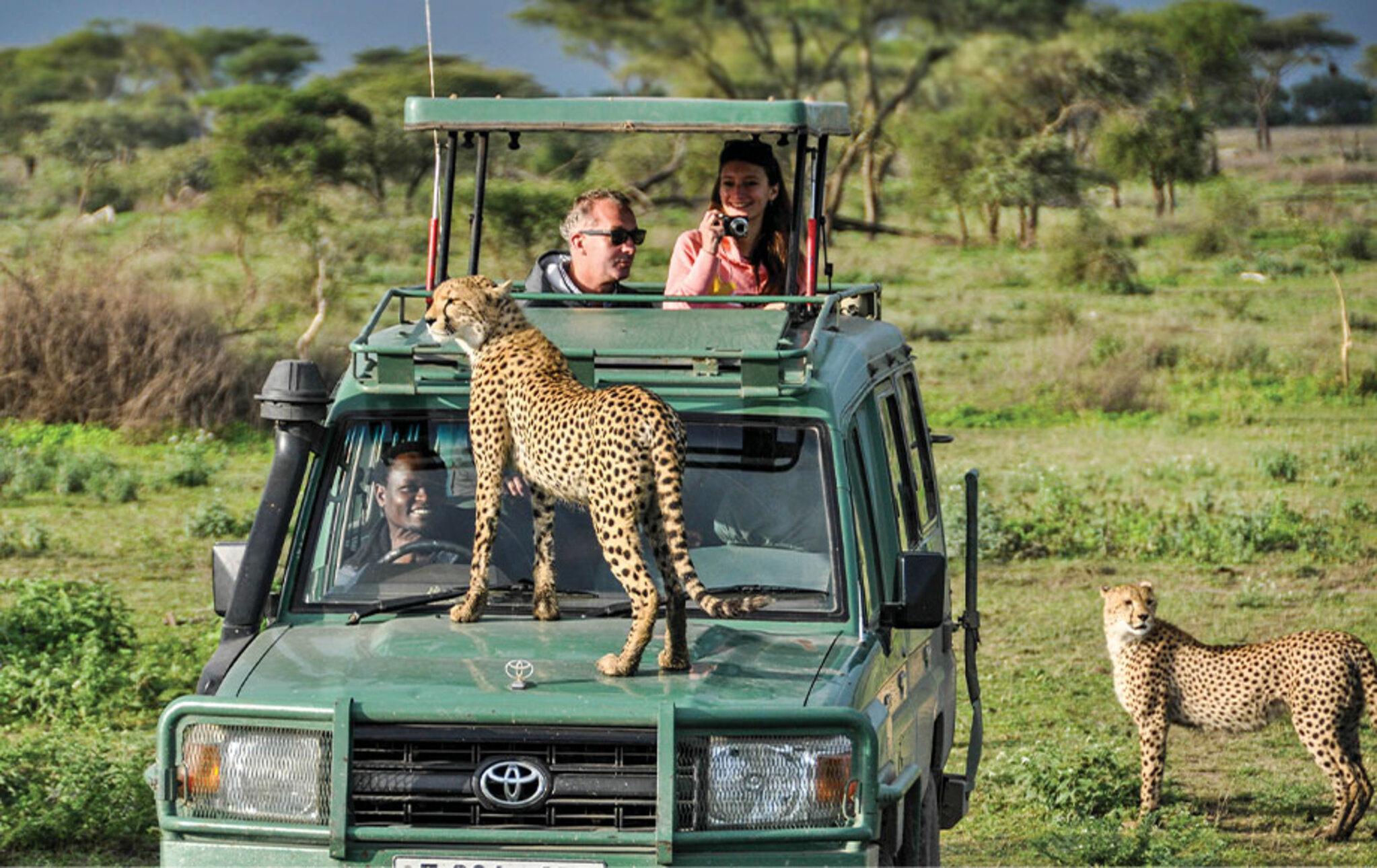 Mikumi National Park Fly-In Day Safari from Zanzibar