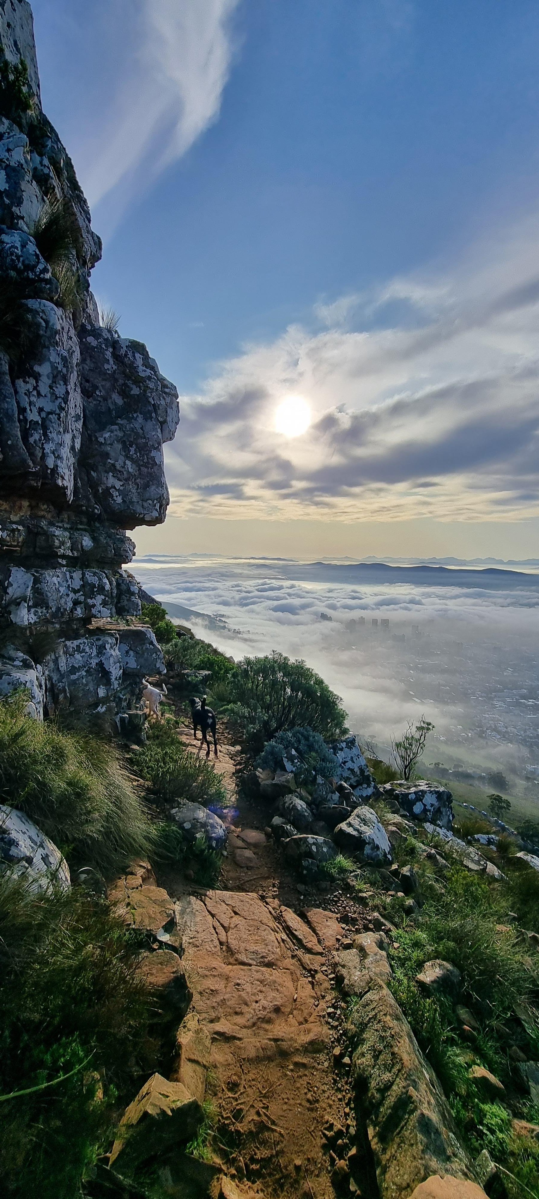 Table Mountain Guided Hike with Cable Car Descent