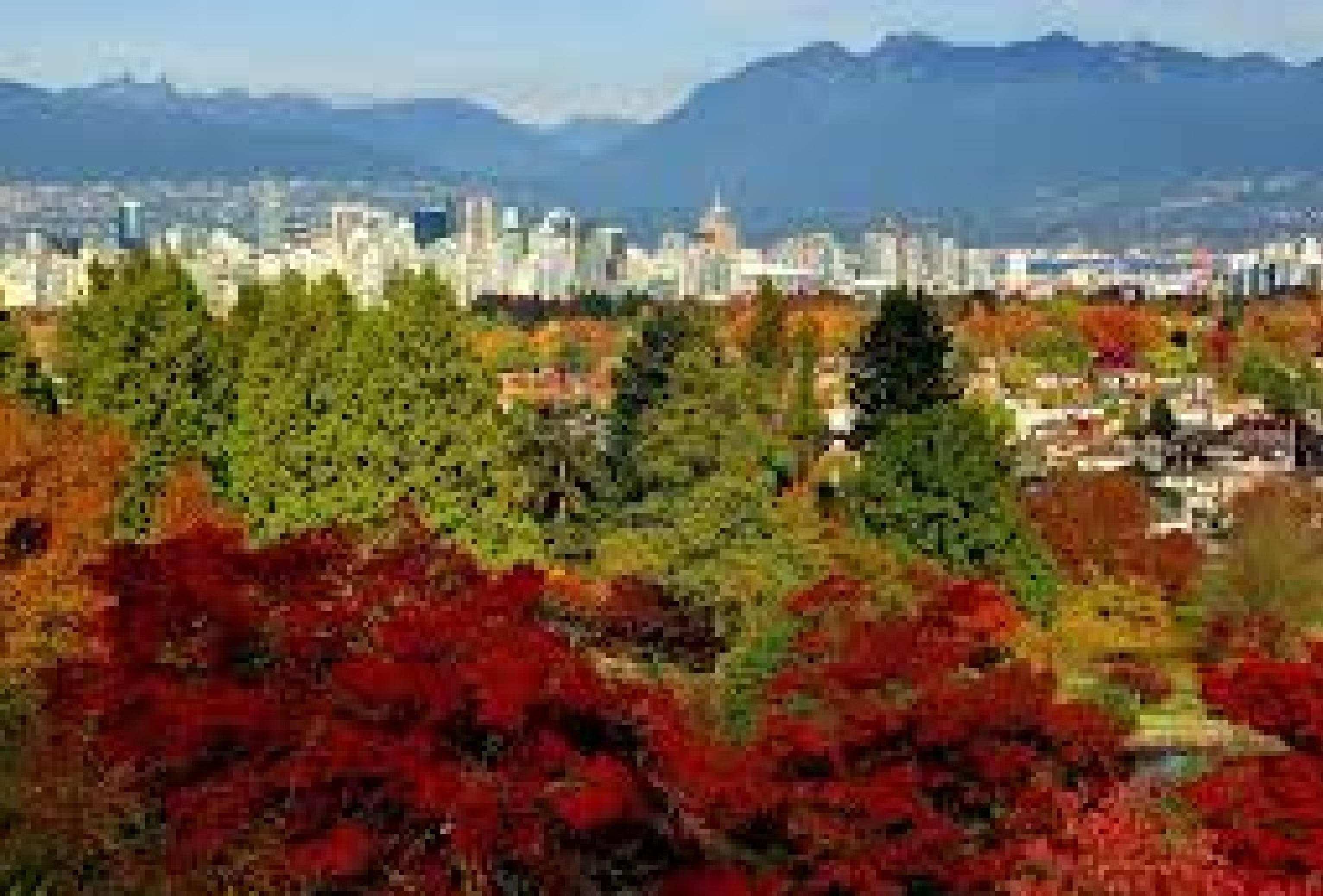 Vancouver: Comprehensive City Sights & Culture Guided Tour