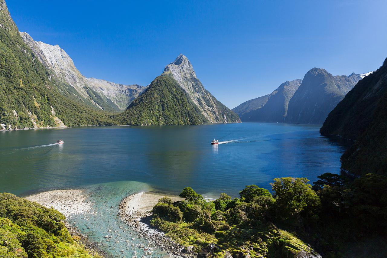 Milford Sound: Nature Cruise & Milford Track Walk