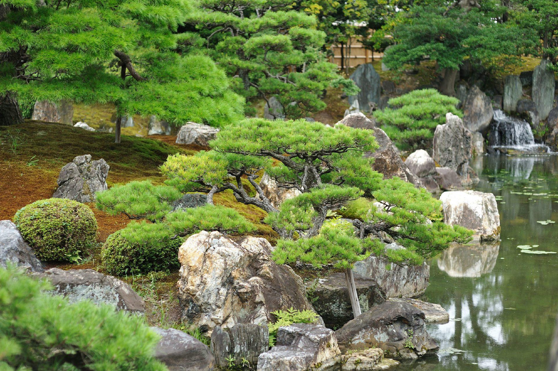 Kyoto & Arashiyama Cultural Explorer Day Trip