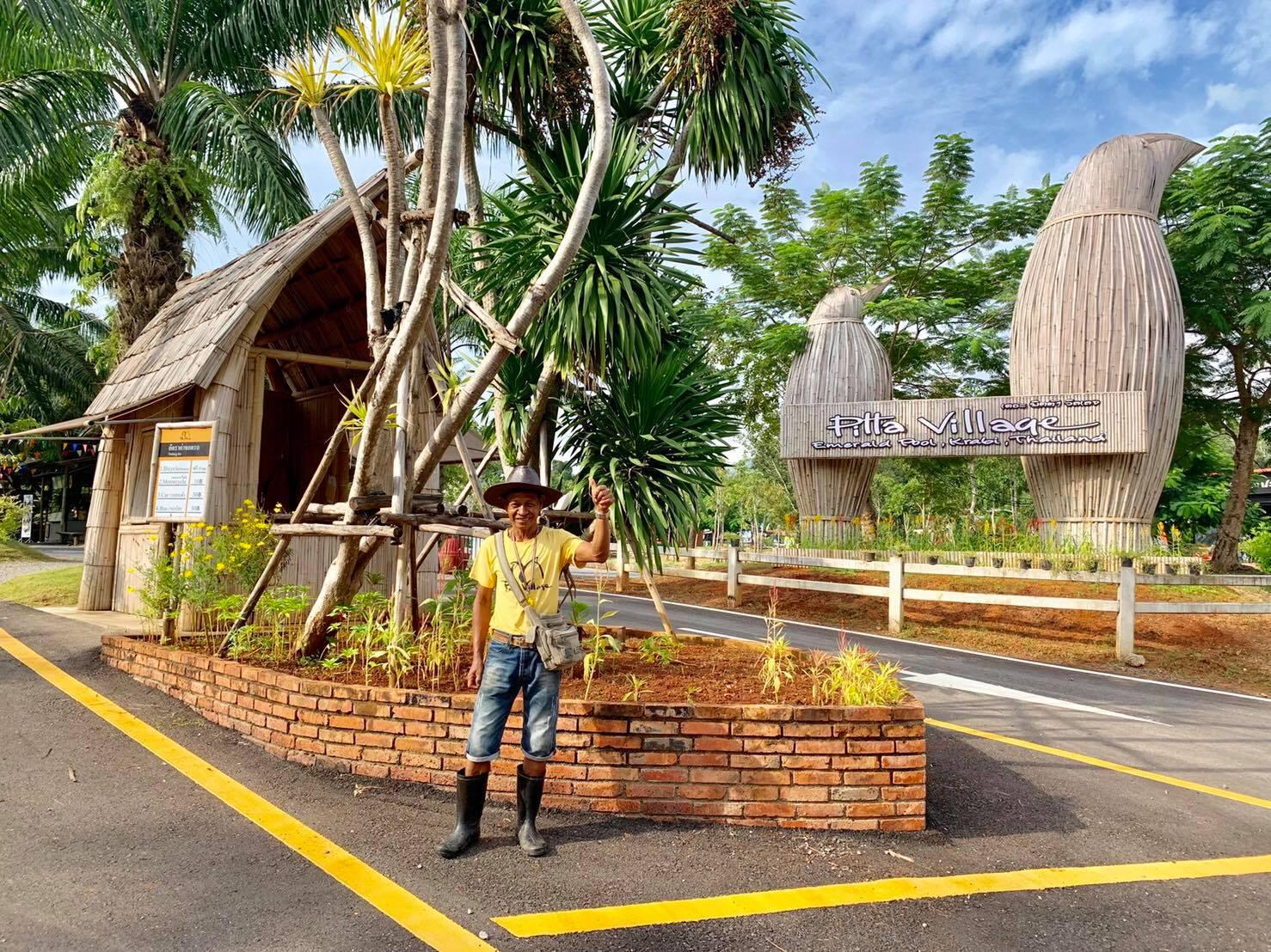 Krabi Jungle Day Tour: Hot Springs, Emerald Pool & Tiger Cave Temple