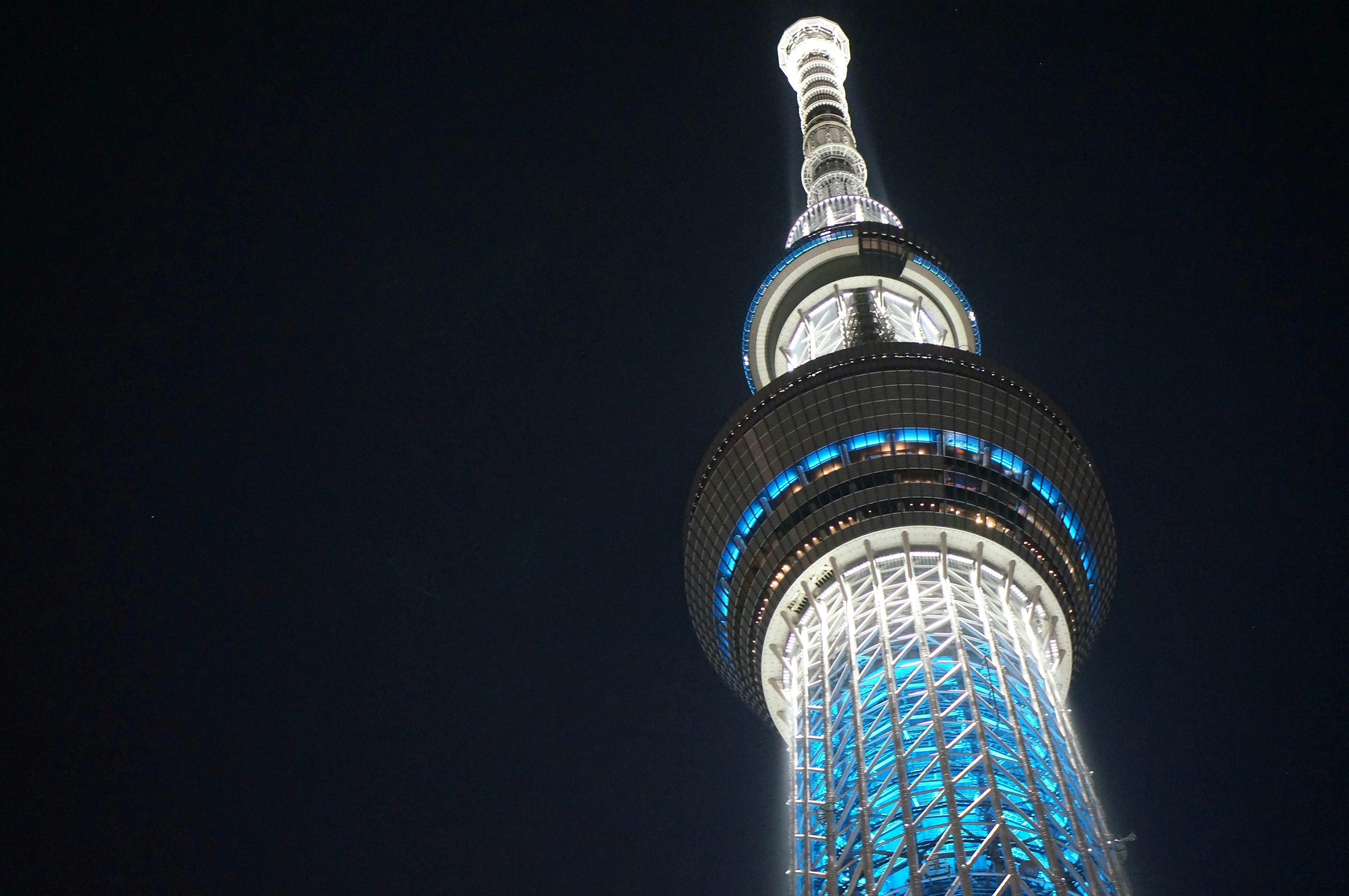 Tokyo Private Tour: Asakusa to Skytree – Engineering Through the Ages