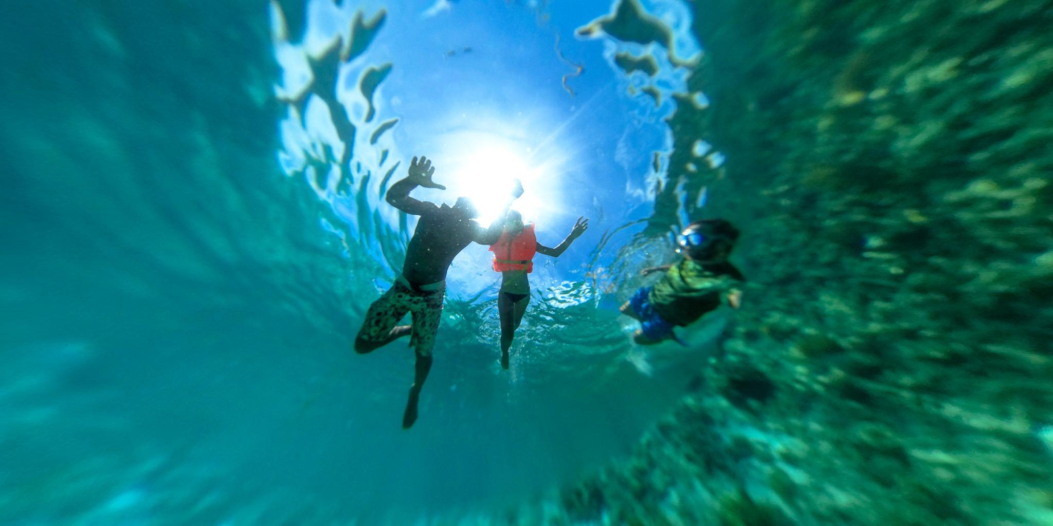 Mnemba Island Dolphin & Snorkel Boat Trip from Matemwe