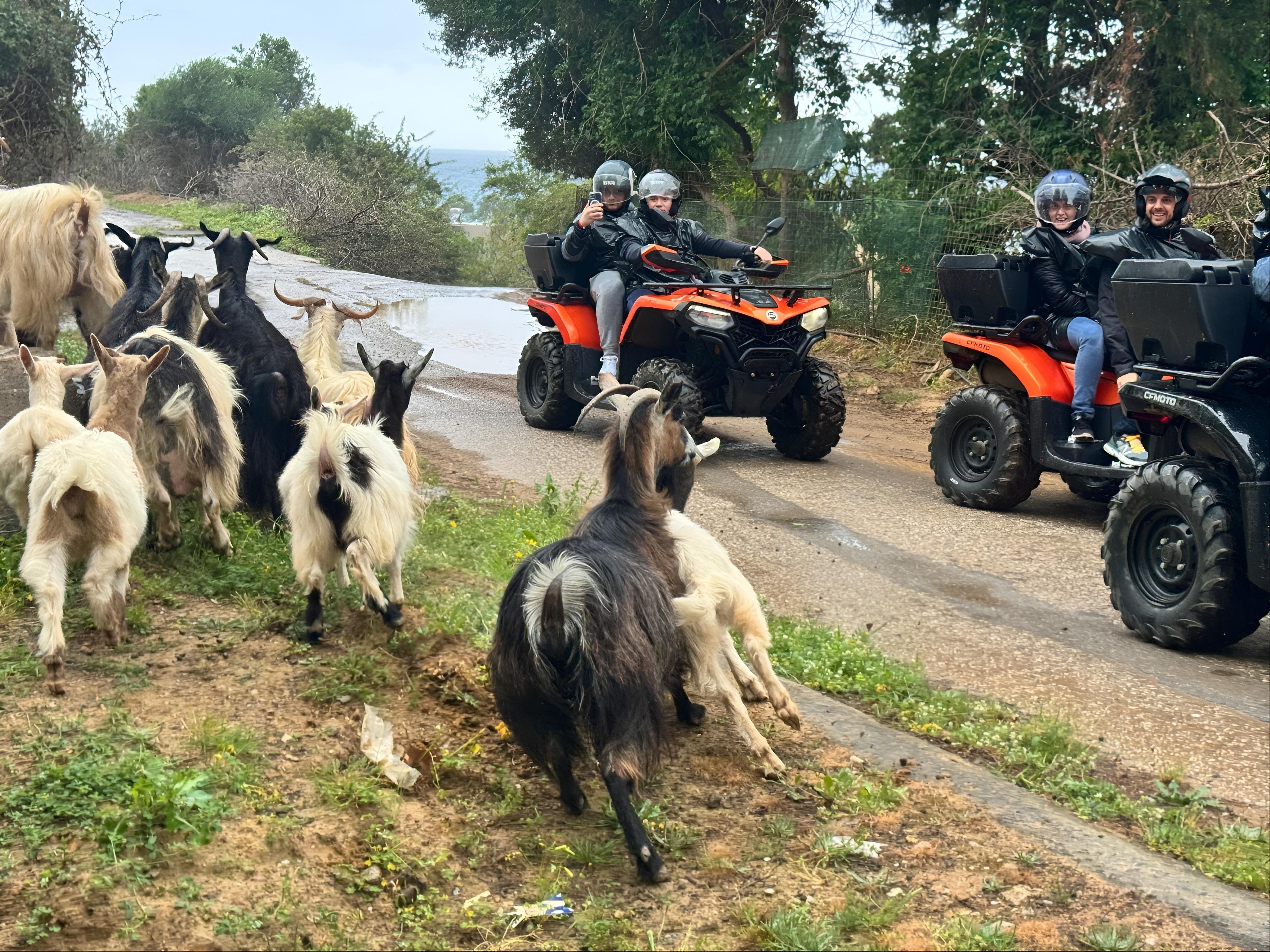 Crete Heraklion: 3.5 hrs Authentic Cretan Adventure & visits - 2026 (Verified Reviews)