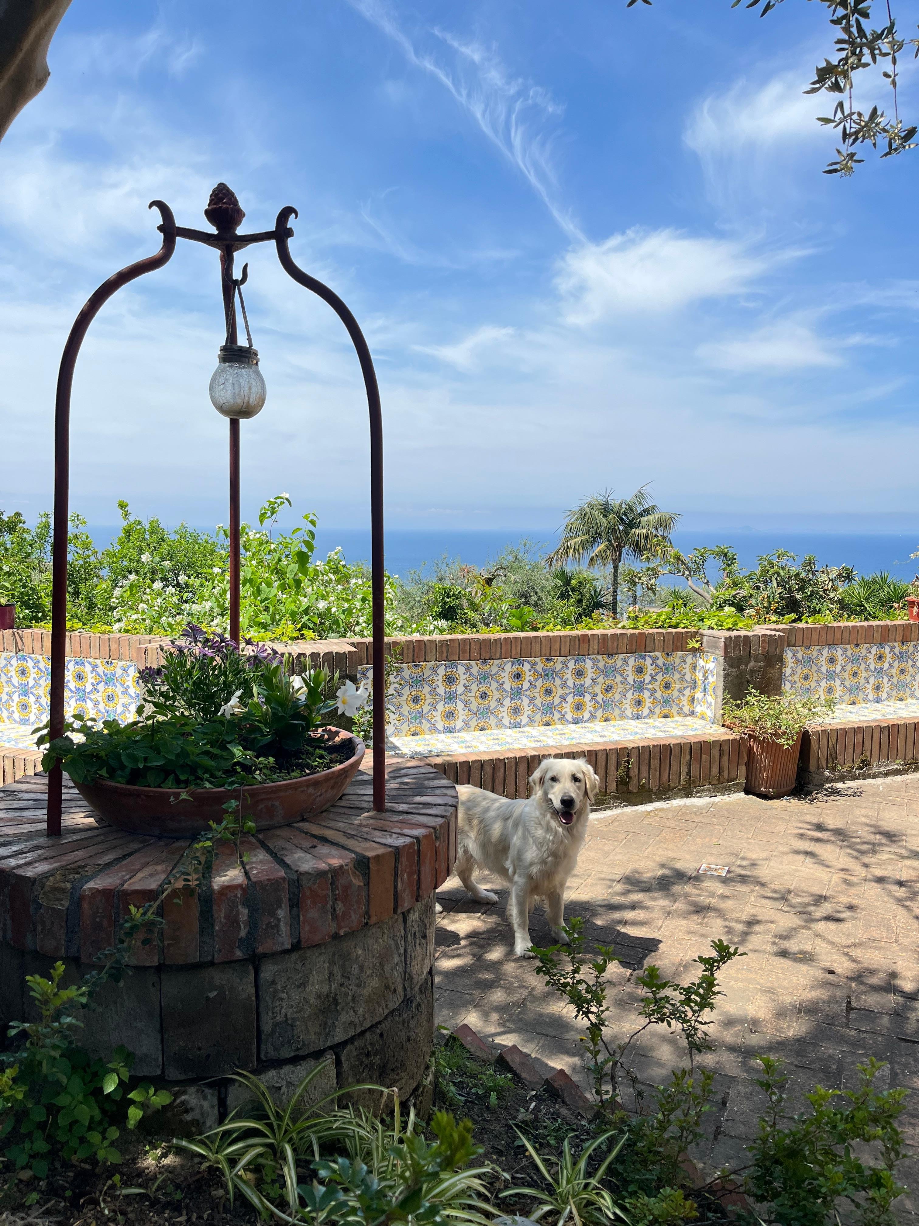 Sorrento Seaside Cooking Class & Sommelier Wine Pairing