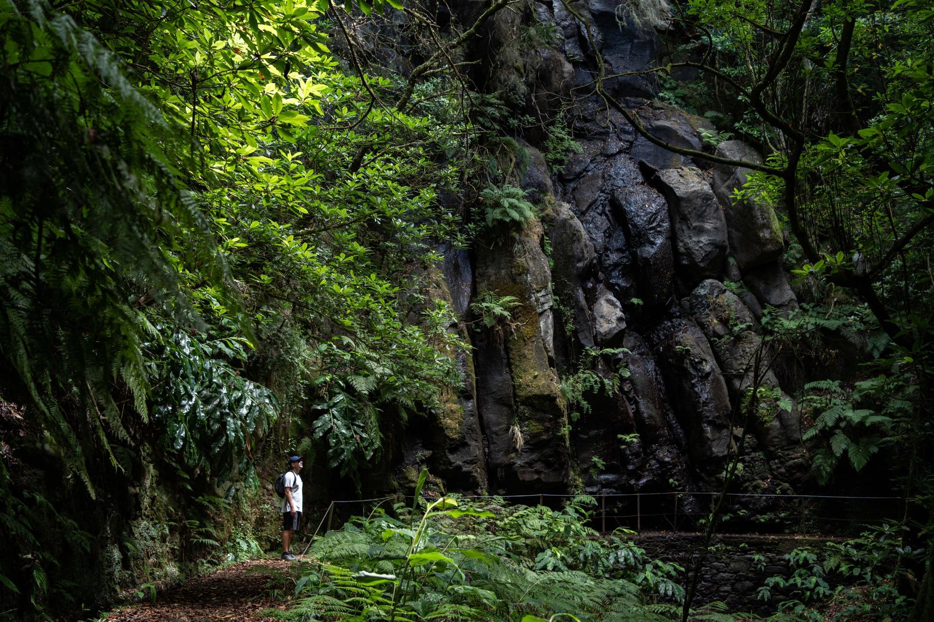 PR9 Levada do Caldeirão Verde Independent Hiking Transfer