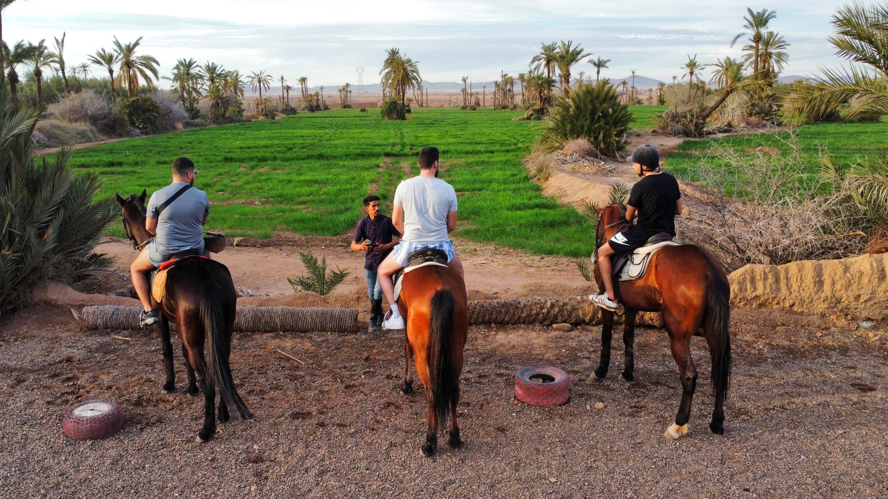 Marrakech Palm Grove Private Horseback Ride with Mint Tea