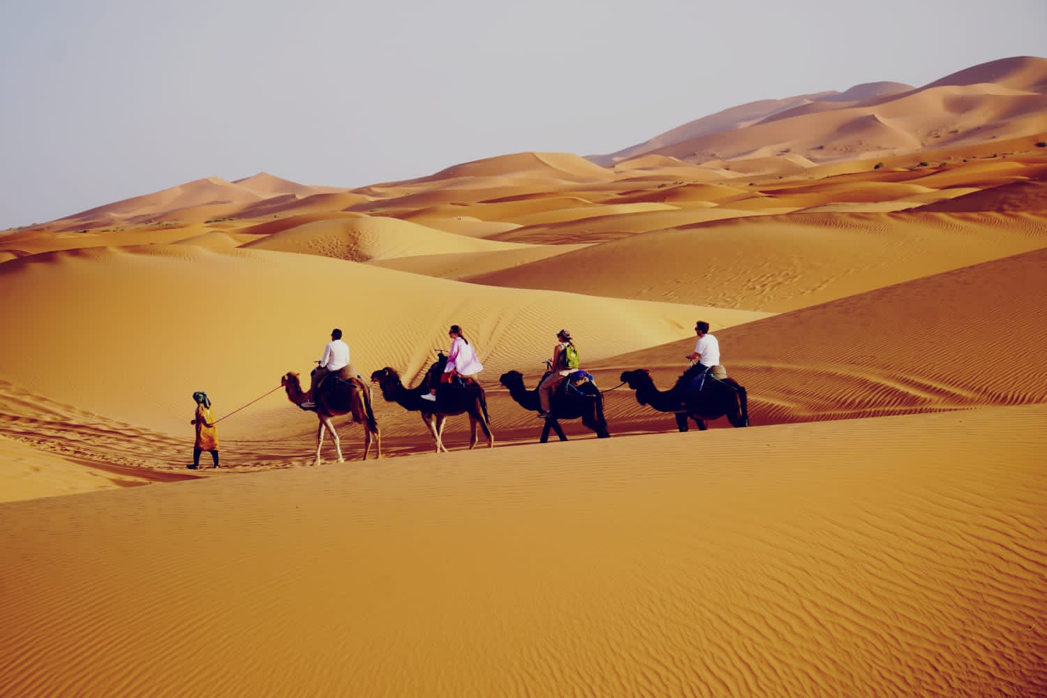 Erg Chebbi Desert Overnight: Camel Ride & Heated Tent Camp