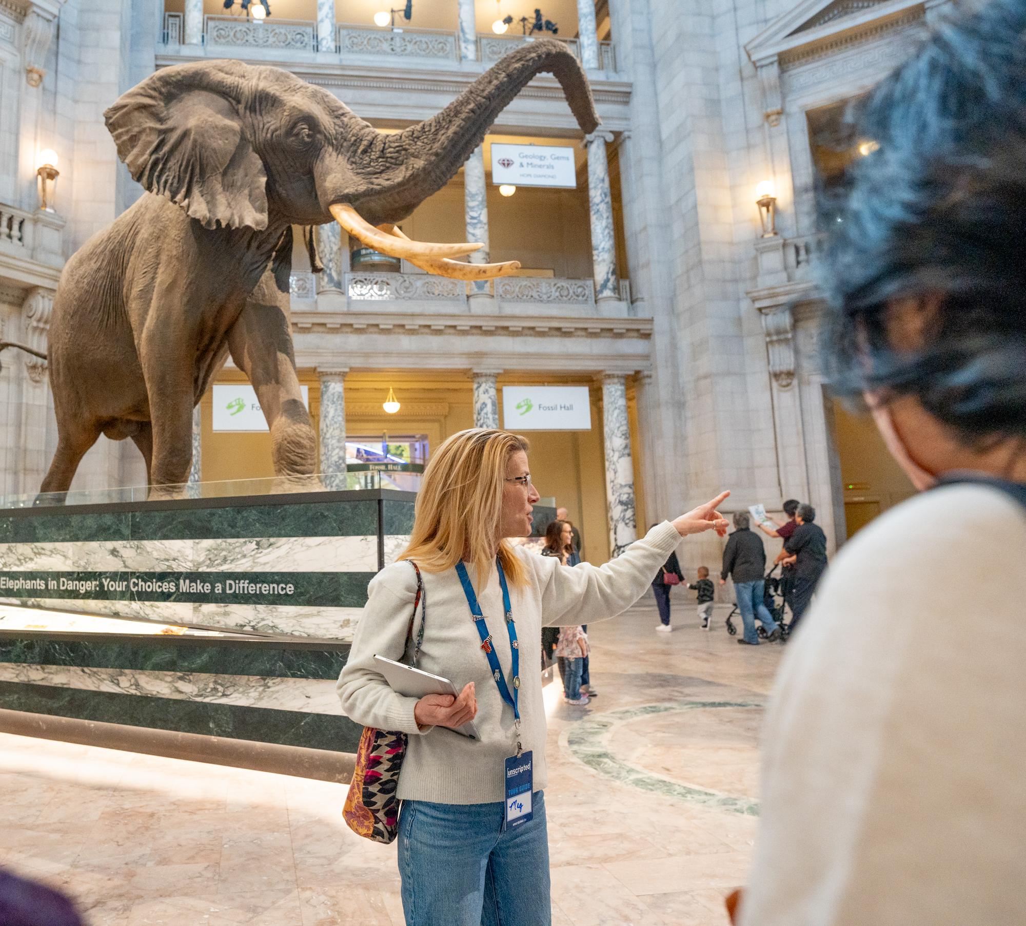 Smithsonian Big 3 Highlights-Tour mit Eintritt für Air & Space
