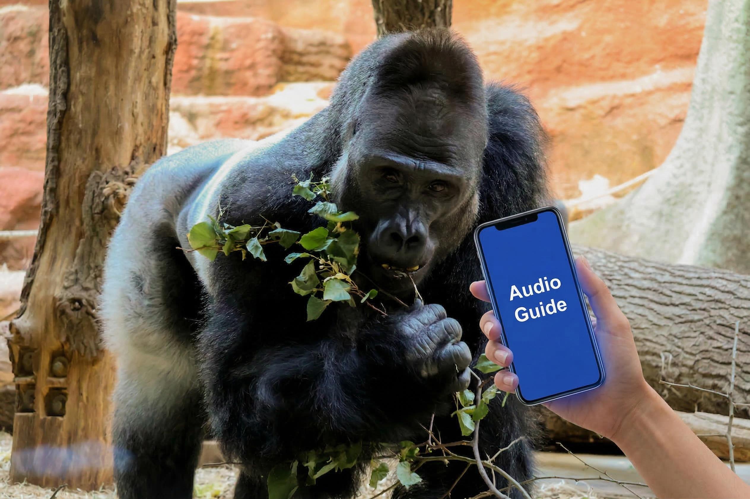Prague Zoo Self-Guided Audio Tour
