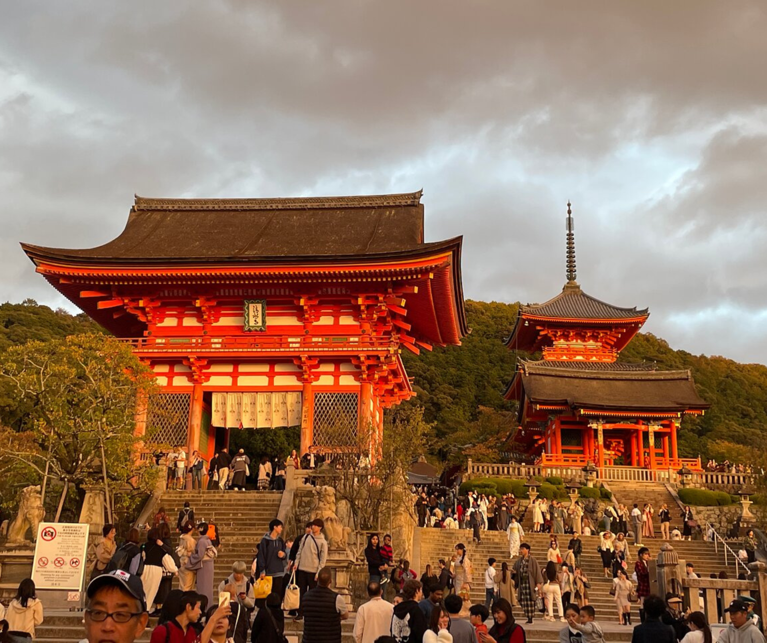Kyoto Private Full-Day Tour with Luxury Vehicle & Expert Guide