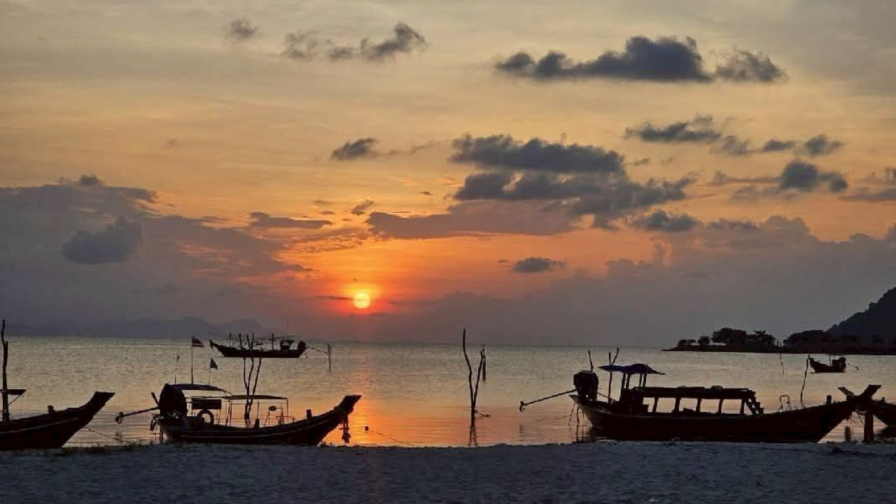 Samui Island Expedition: Viewpoints, Elephants & Pig Island