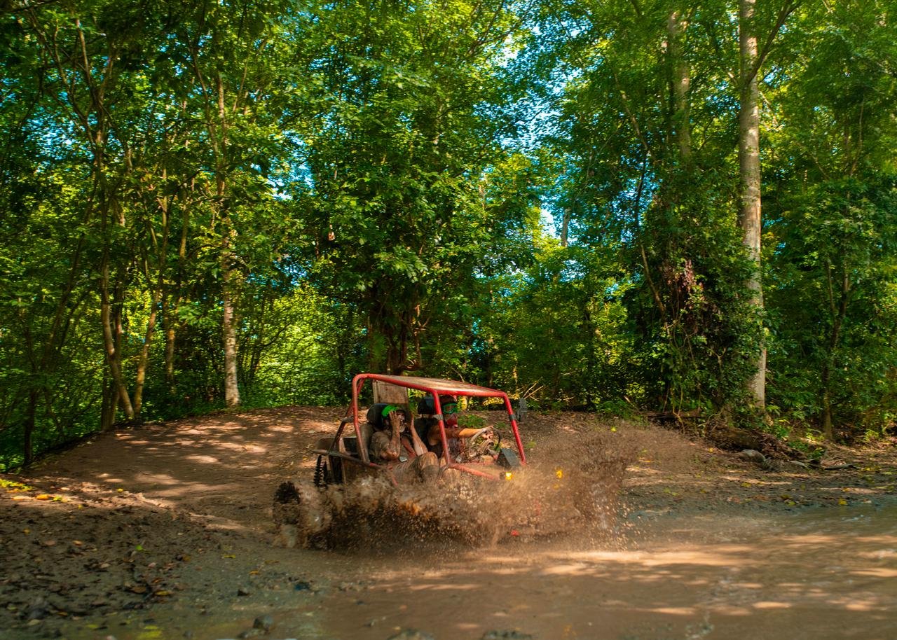 Puerto Plata Buggy Adventure with Beach & Tastings