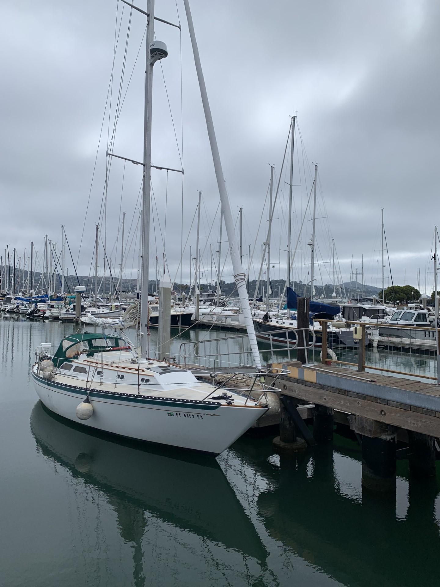 San Francisco: 2-Hour Interactive Sunset Bay Sailing Cruise