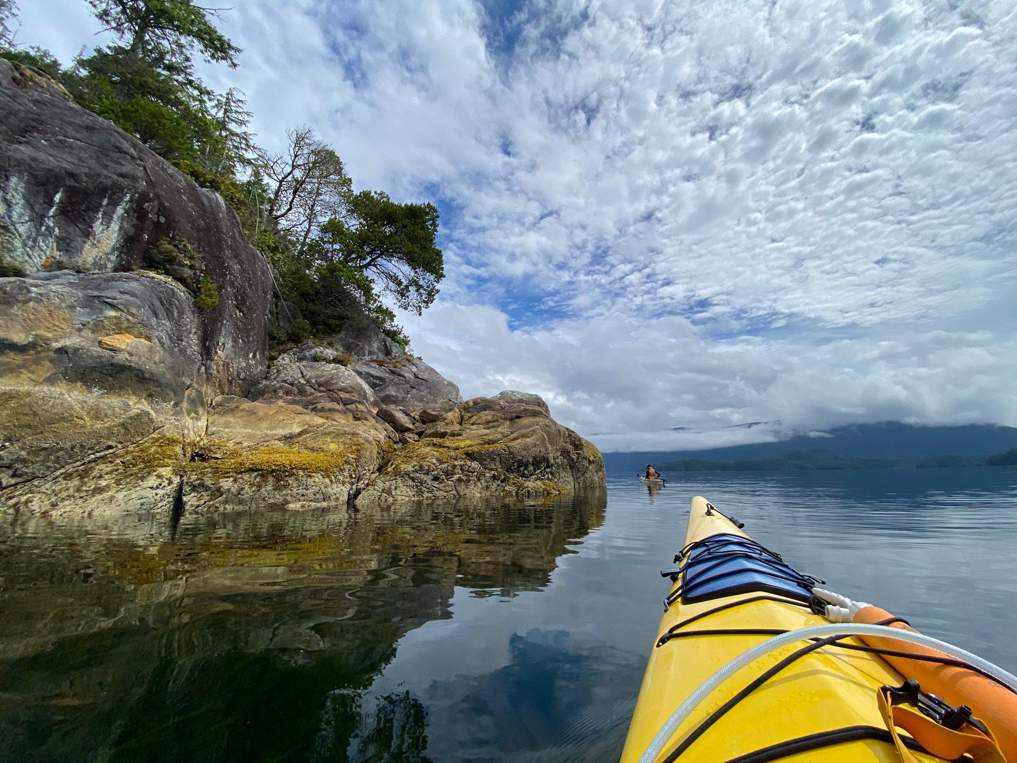 Tofino sea kayaking Clayoquot Sound sheltered coastal waters wildlife — image 8