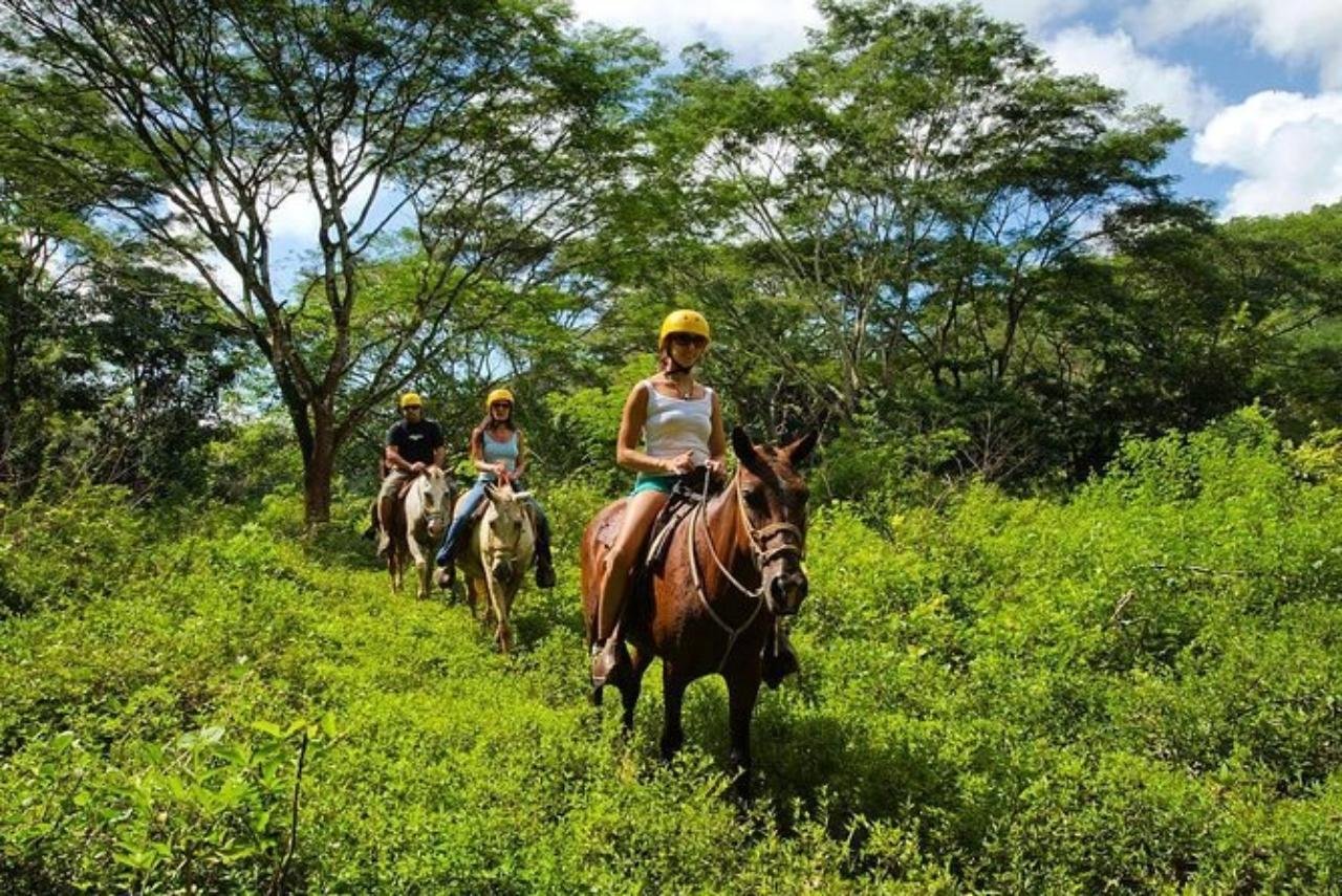 Jungle Horseback Adventure to El Encanto Waterfall
