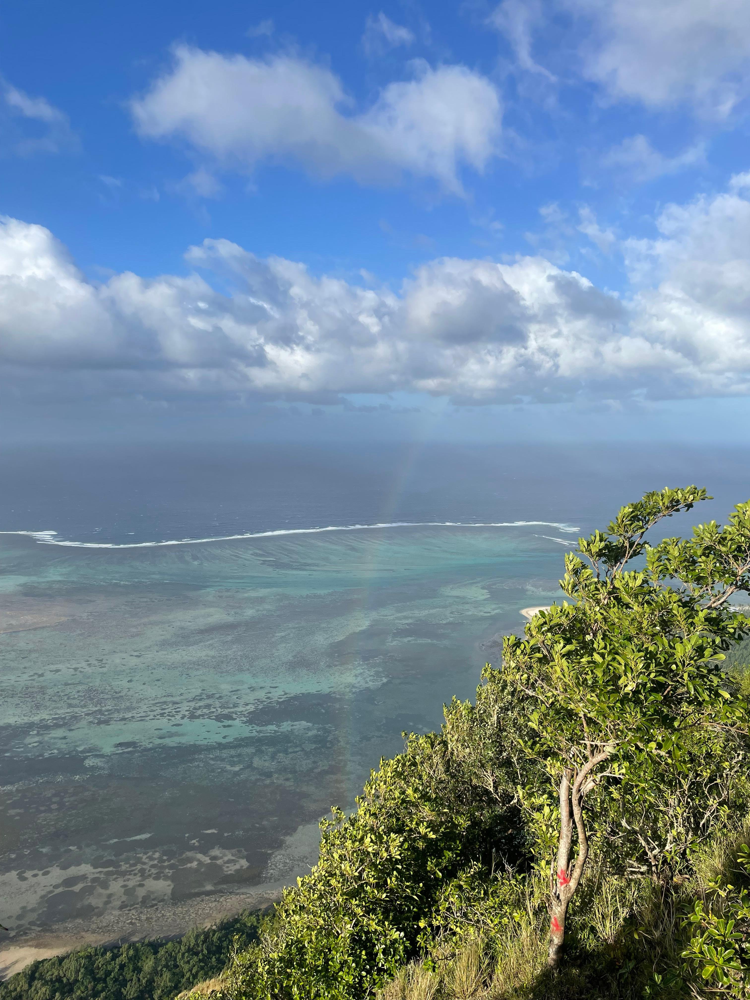 Le Morne Brabant: Private Guided Summit Hike