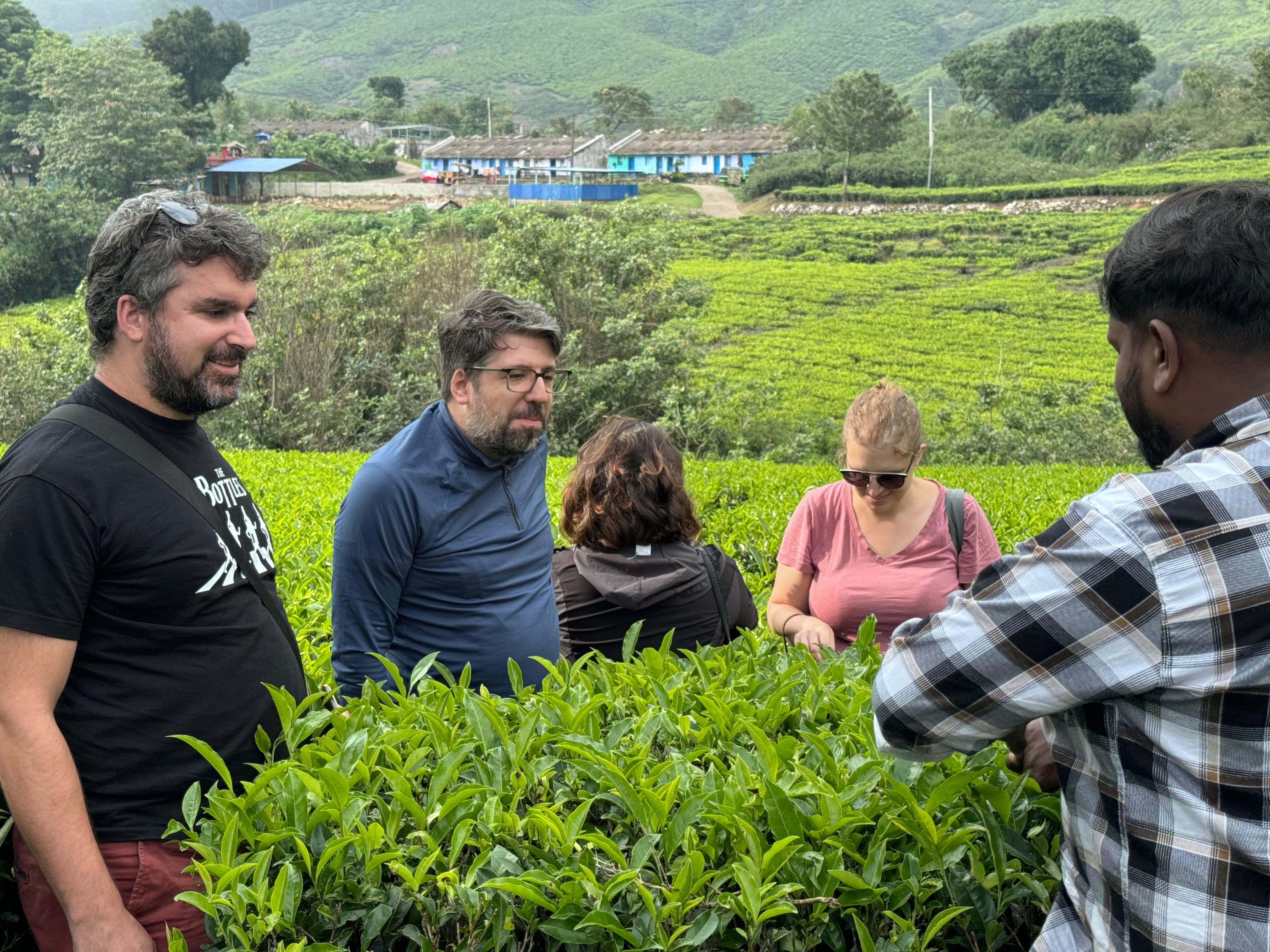 Munnar: Kolukkumalai High-Altitude Tea Estate Jeep Adventure