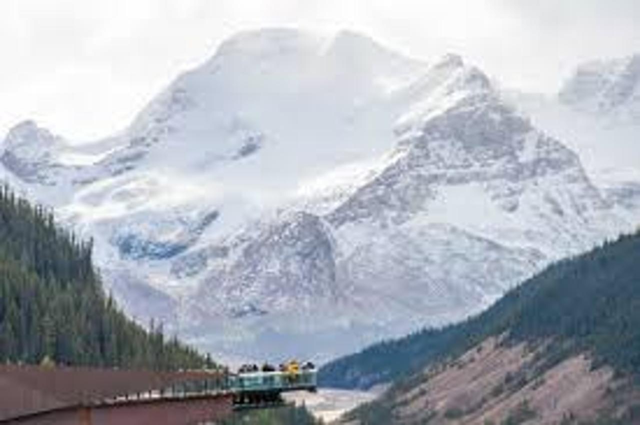 Icefields Parkway tour — Columbia Icefield, Peyto Lake and Bow Lake, Alberta — image 25