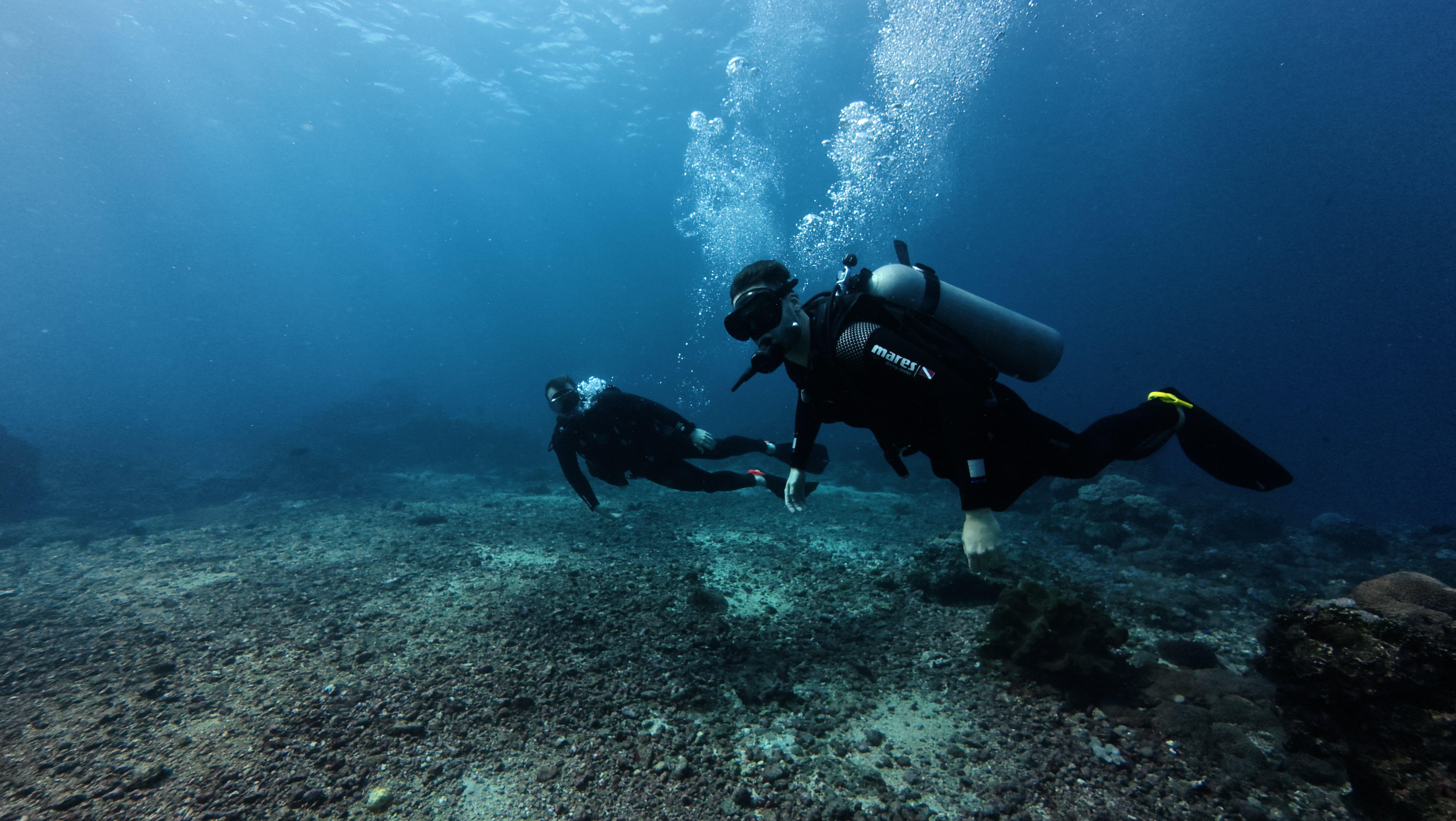 Nusa Penida Manta Ray Diving & Snorkeling Adventure